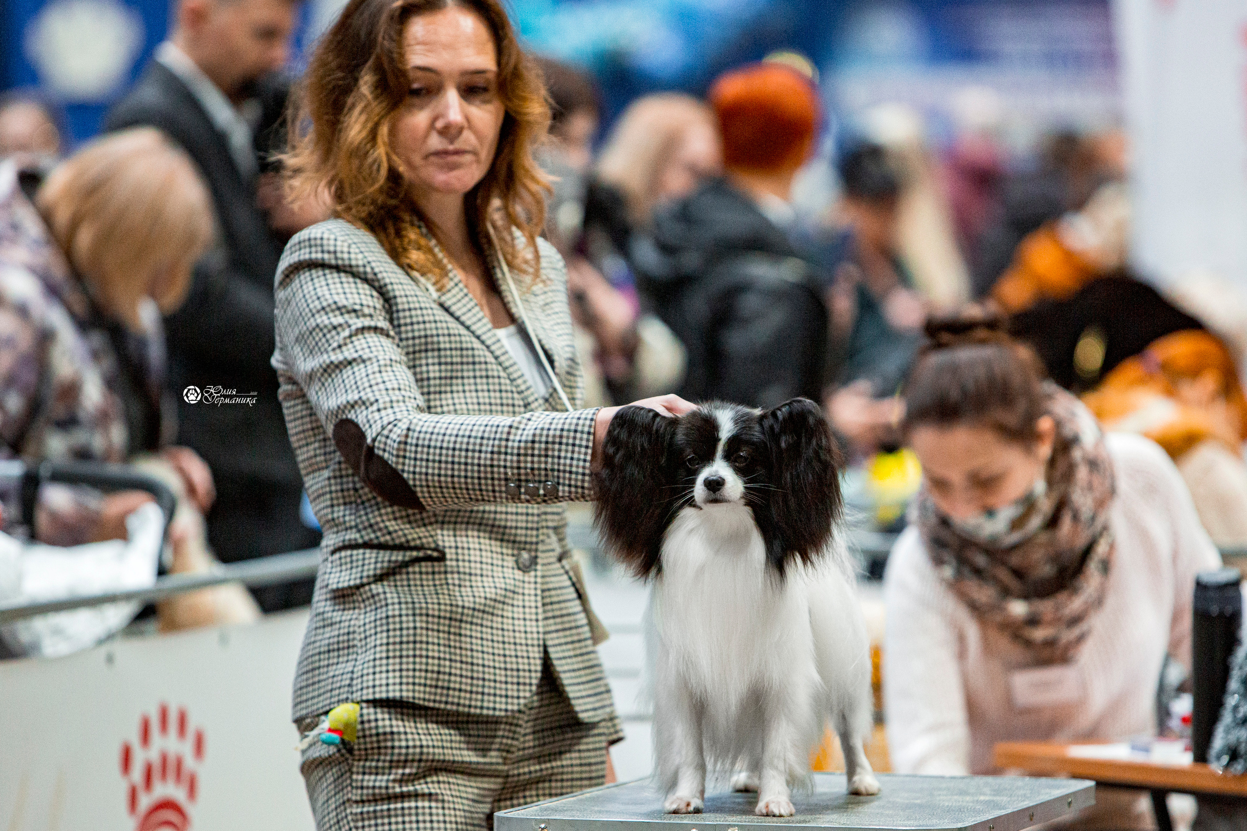 Минск 2хCACIB 27-28 ноября 2021. Фотограф-анималист Юлия Германика