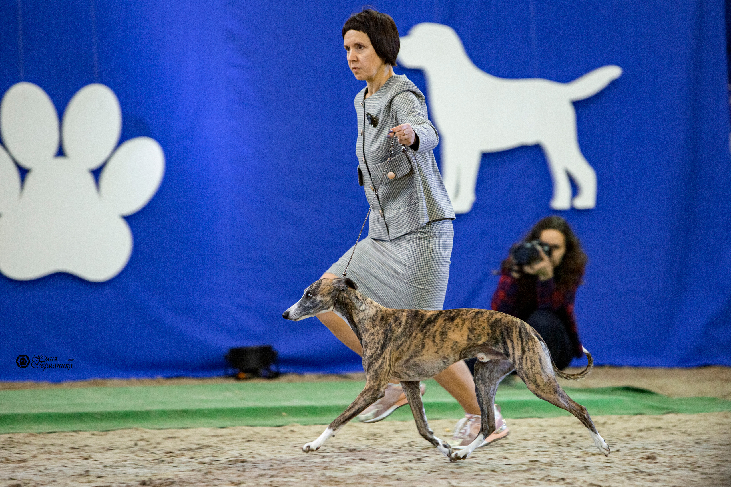 Минск 2хCACIB 27-28 ноября 2021. Фотограф-анималист Юлия Германика