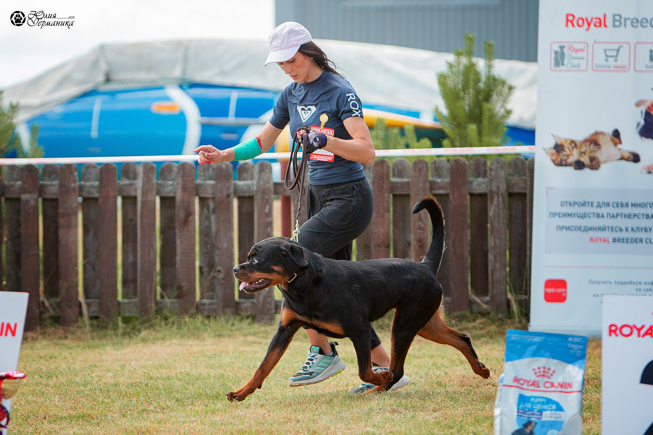 Тверь моно ротвейлеров 3-4 июля 2021. Фотограф-анималист Юлия Германика