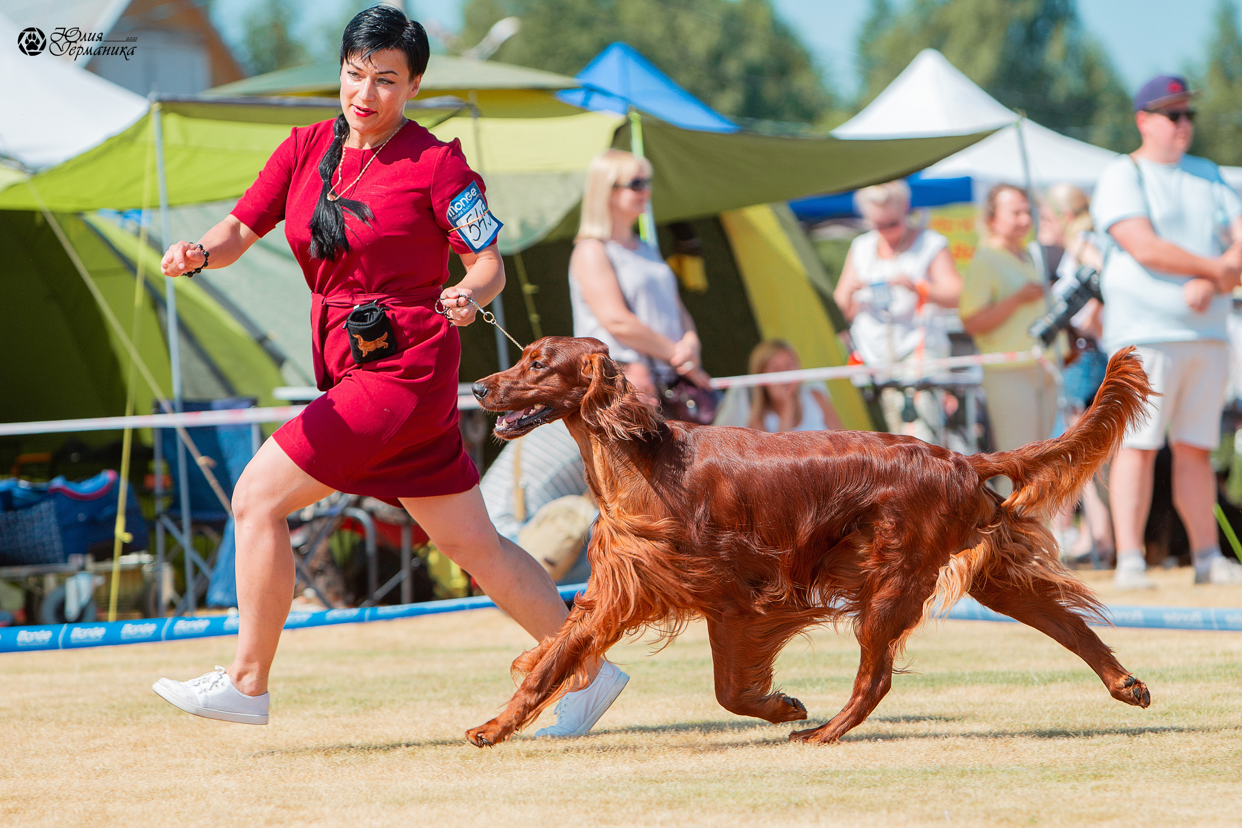 Ярославль CACIB 18 июля 2021. Фотограф-анималист Юлия Германика