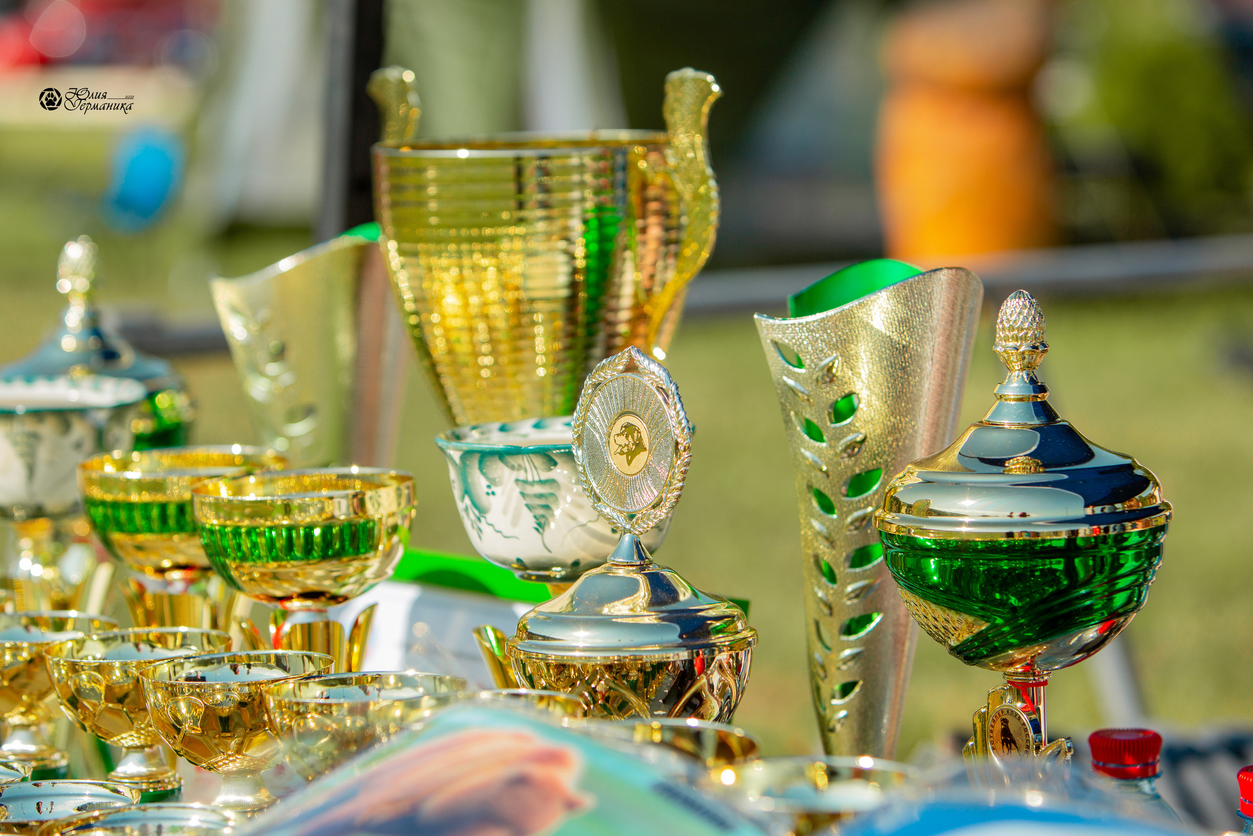 Рязань,Ховрино 14-15 августа 2021 моно ротвейлеров. Фотограф-анималист Юлия Германика