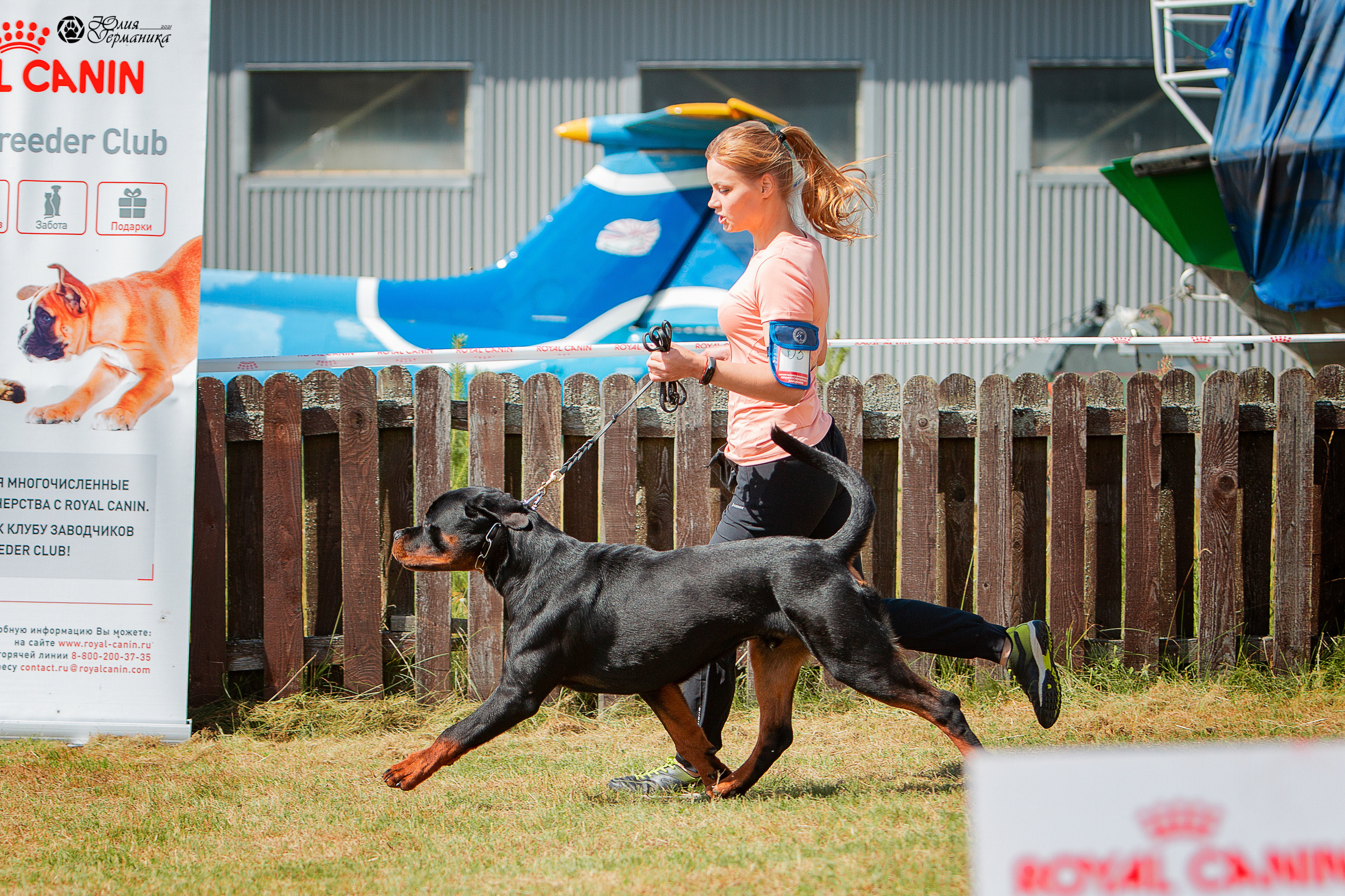 Тверь моно ротвейлеров 3-4 июля 2021. Фотограф-анималист Юлия Германика