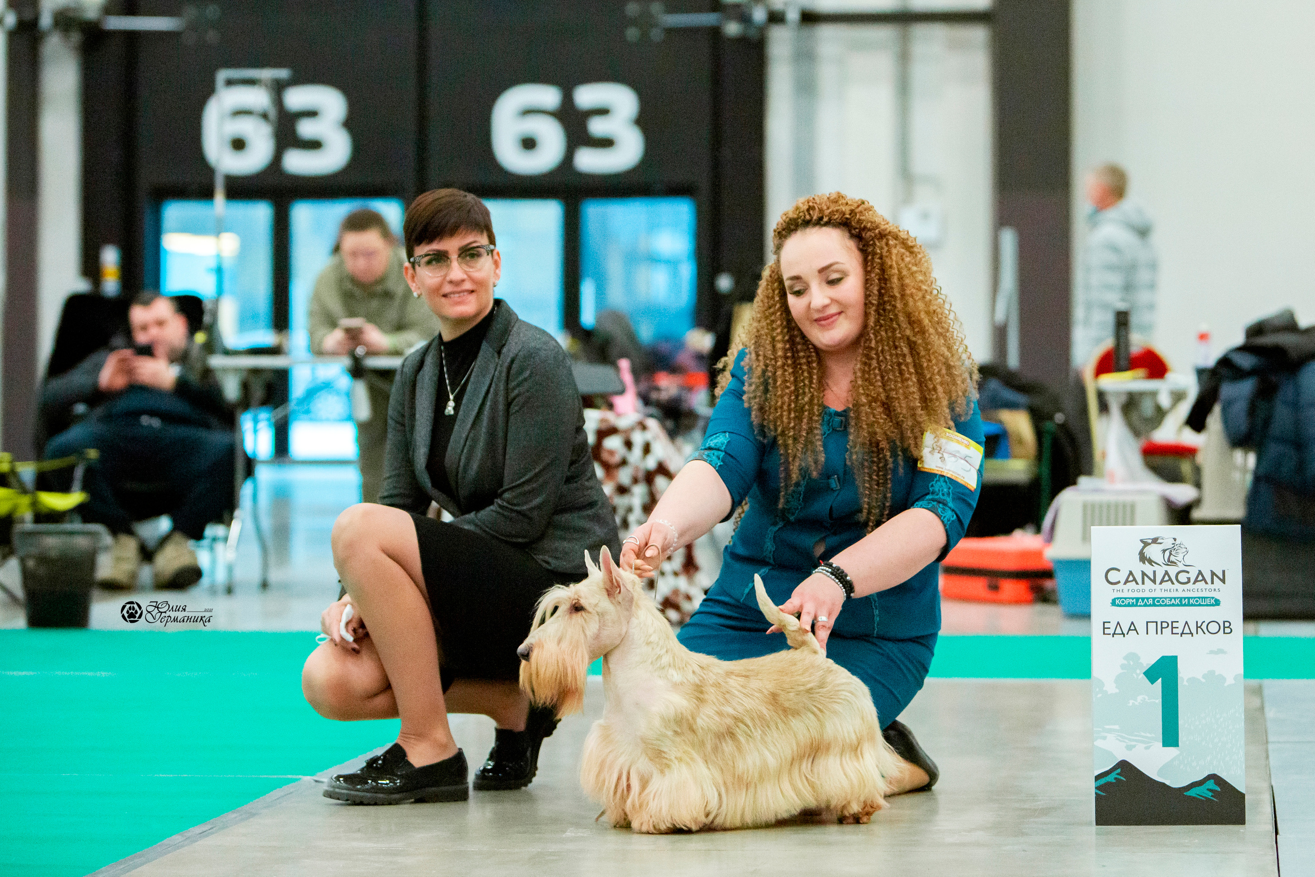 Санкт-Петербург 3хCACIB 10-12 декабря 2021. Фотограф-анималист Юлия Германика