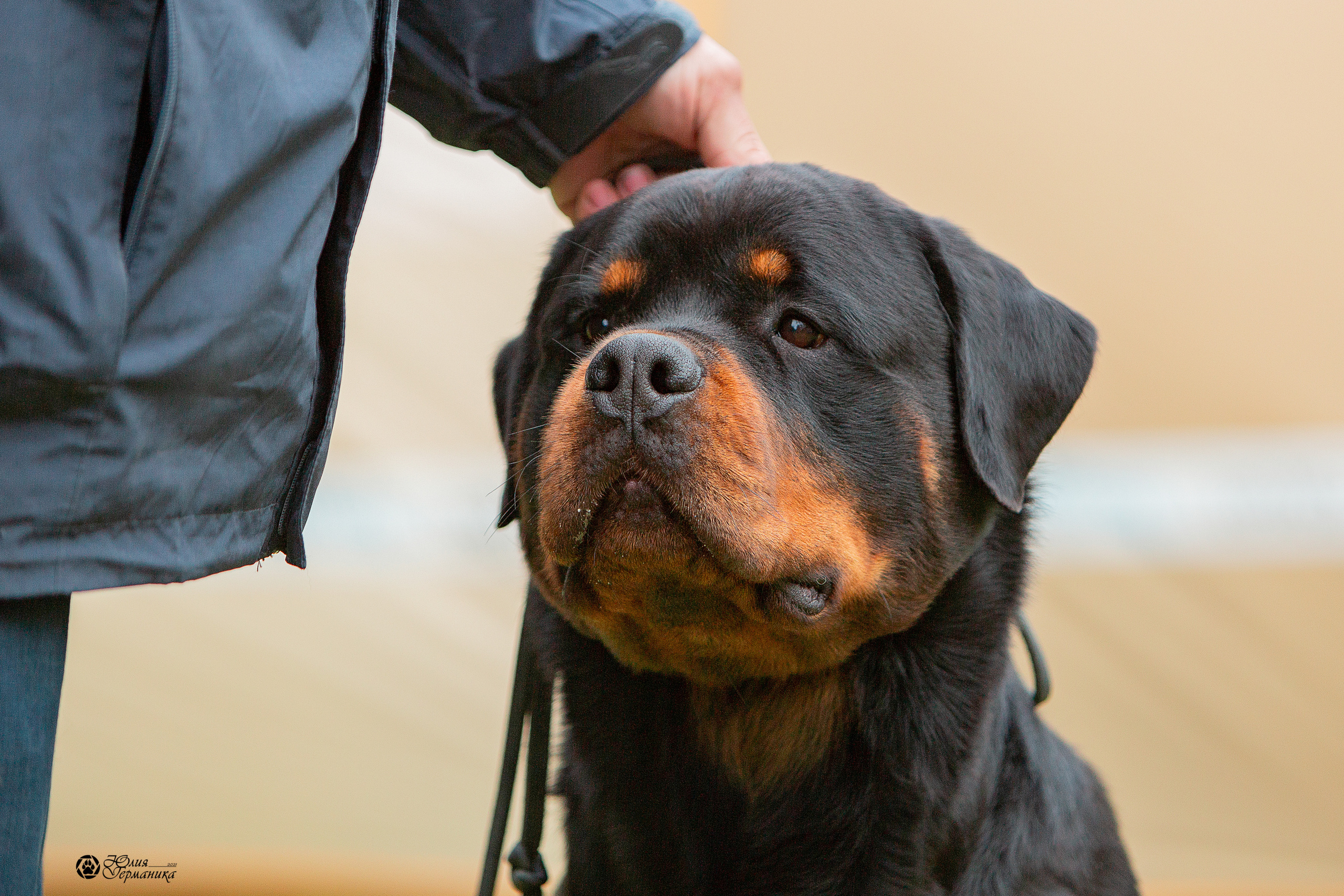 Псков 2xСАСIB 18-19 сентября 2021. Фотограф-анималист Юлия Германика