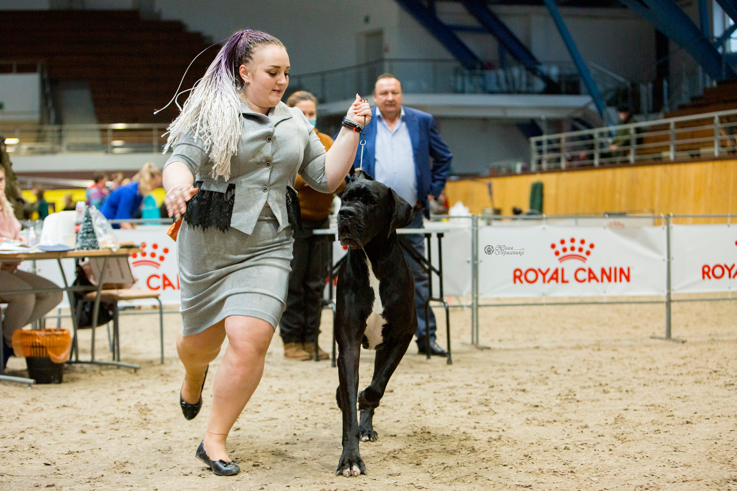 Минск 2хCACIB 27-28 ноября 2021. Фотограф-анималист Юлия Германика