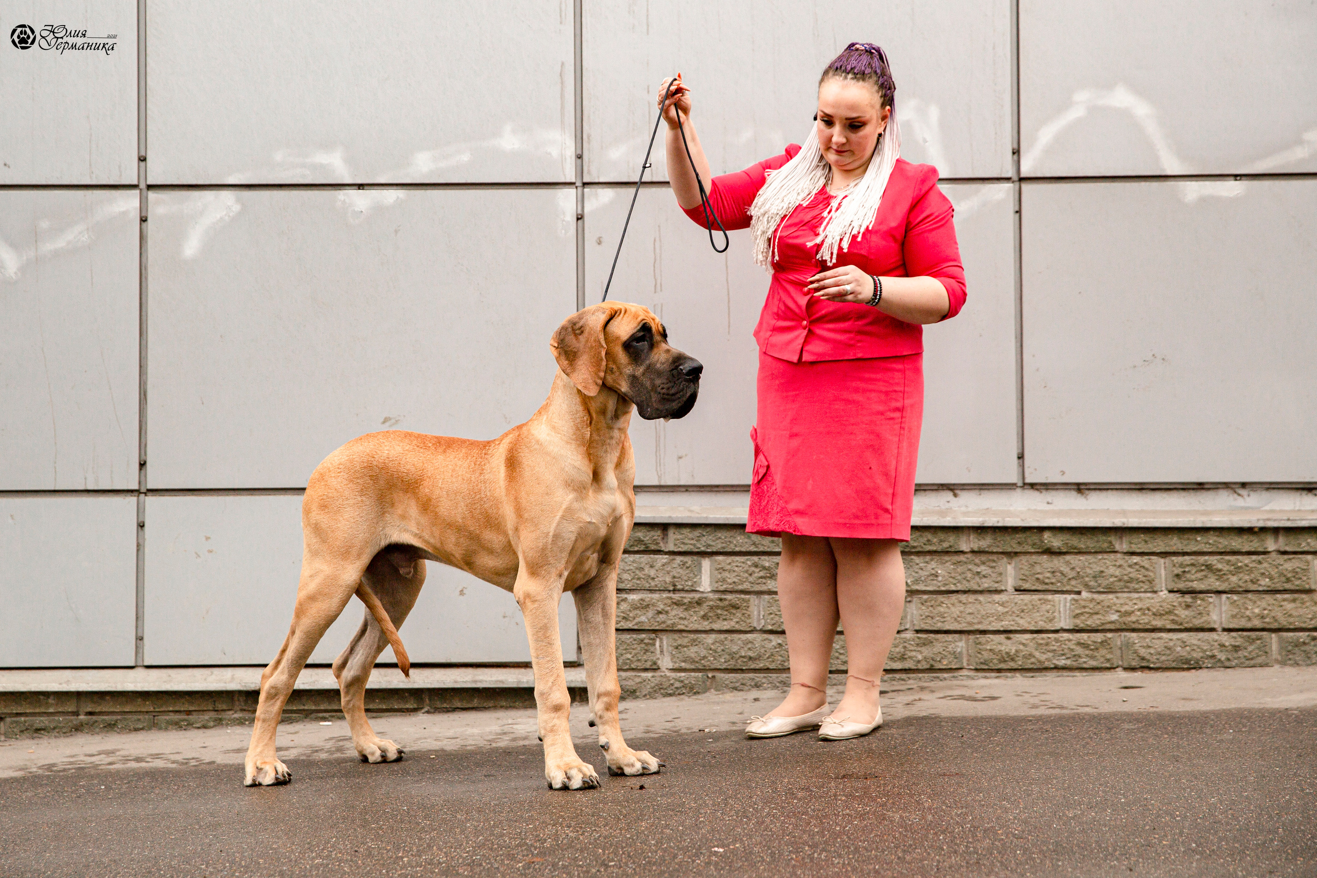 Чайник  13-14 ноября 2021. Фотограф-анималист Юлия Германика