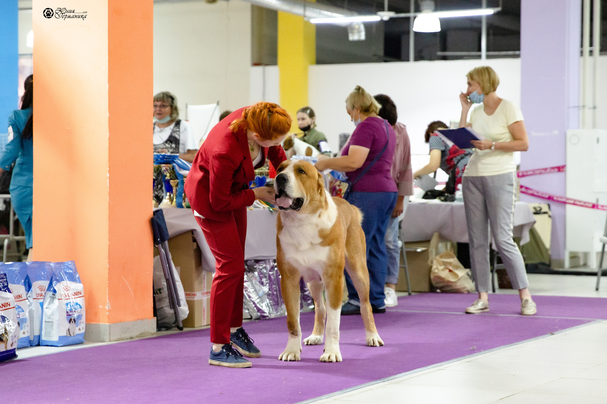 Чайна-Таун 2021. Фотограф-анималист Юлия Германика