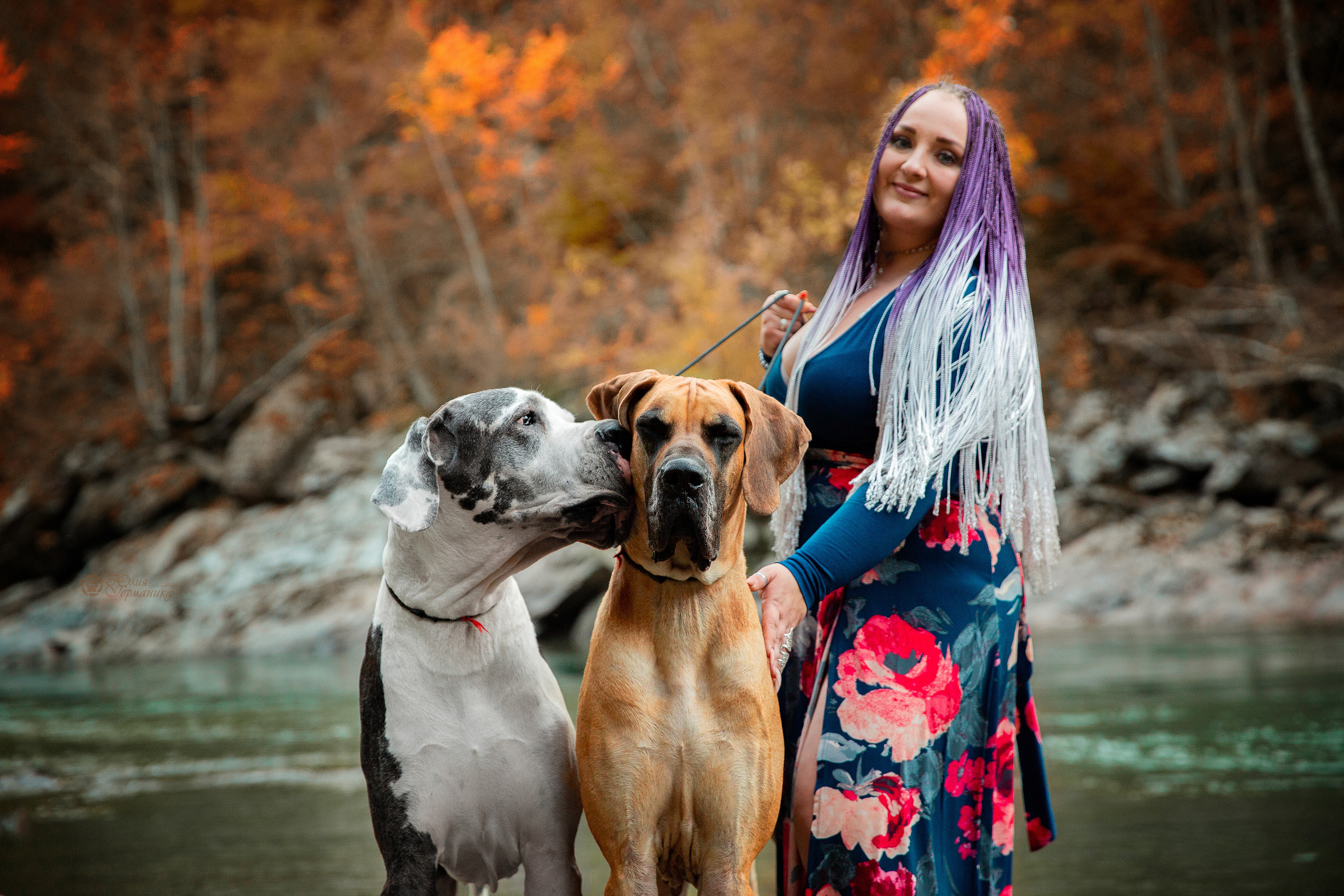 Свободная съемка. Фотограф-анималист Юлия Германика