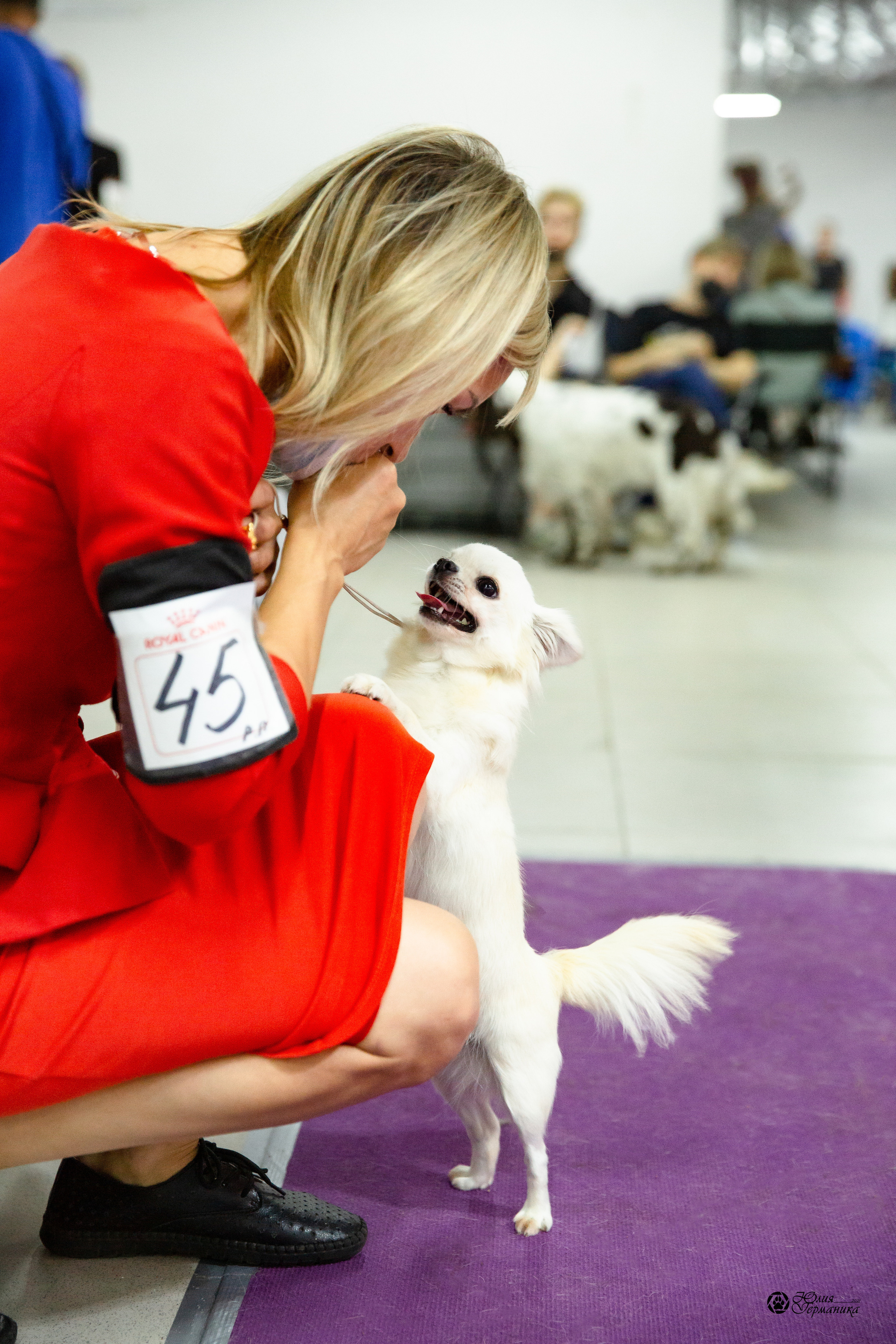 Чайна-Таун 2021. Фотограф-анималист Юлия Германика