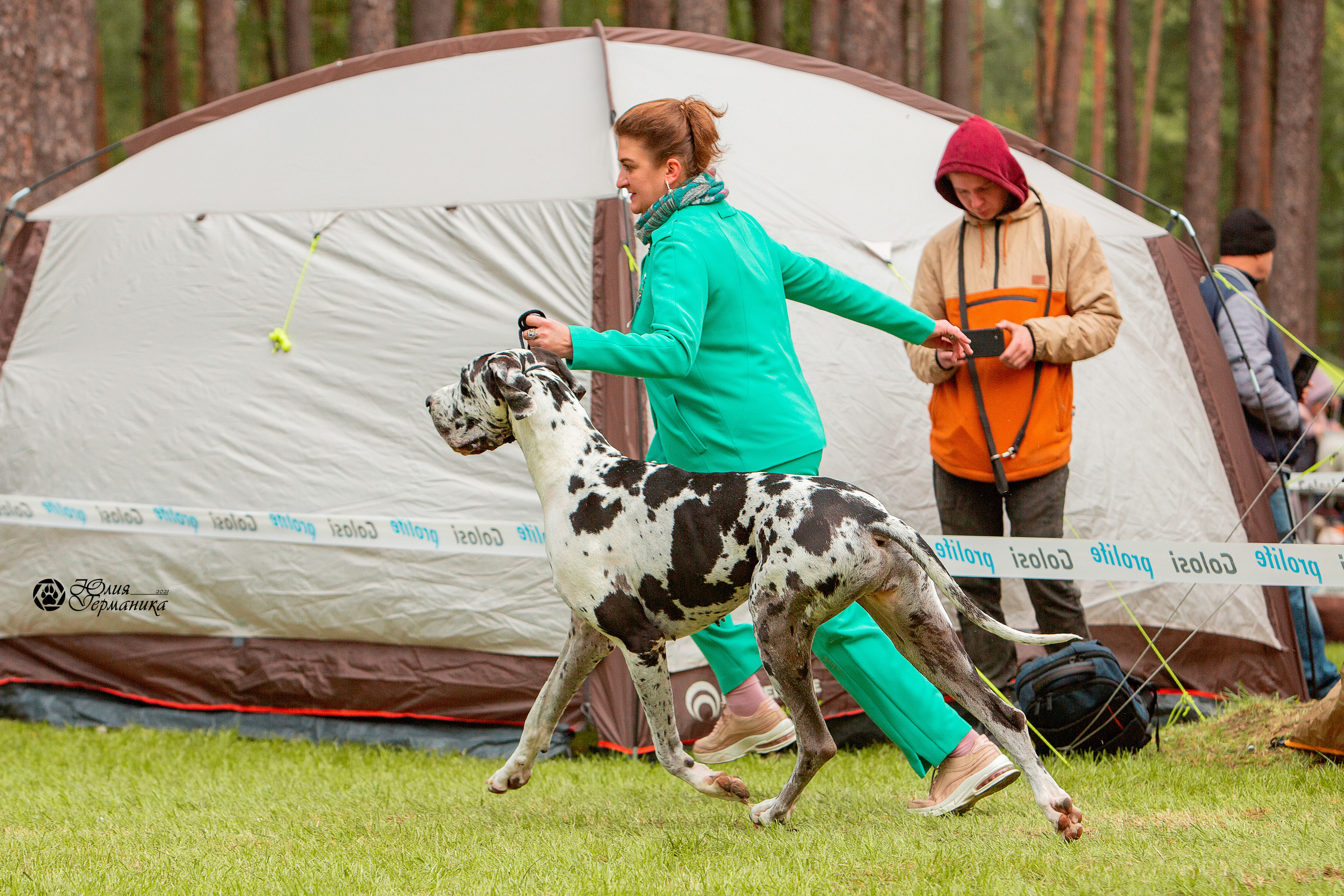 Псков 2xСАСIB 18-19 сентября 2021. Фотограф-анималист Юлия Германика