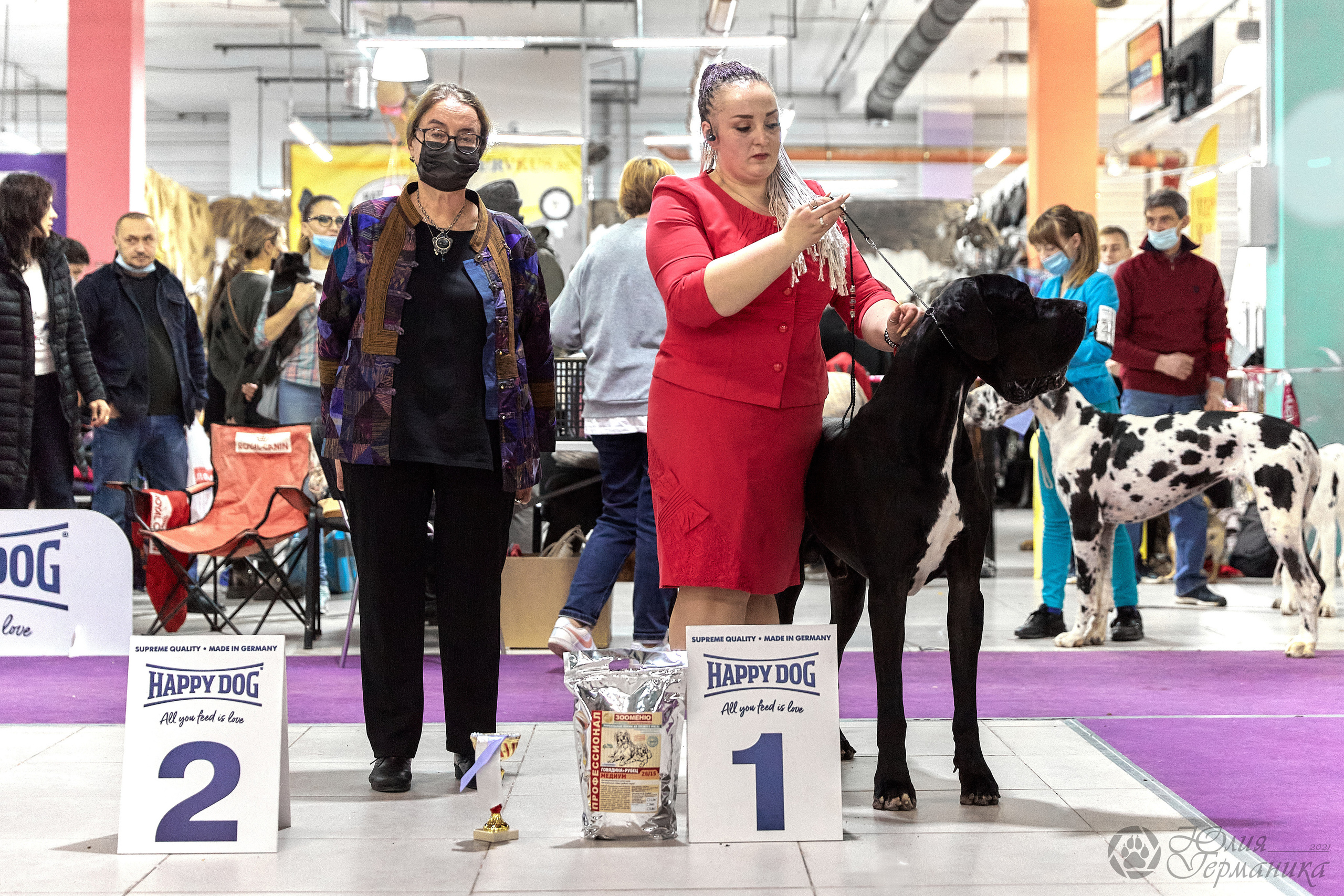 Чайник  13-14 ноября 2021. Фотограф-анималист Юлия Германика