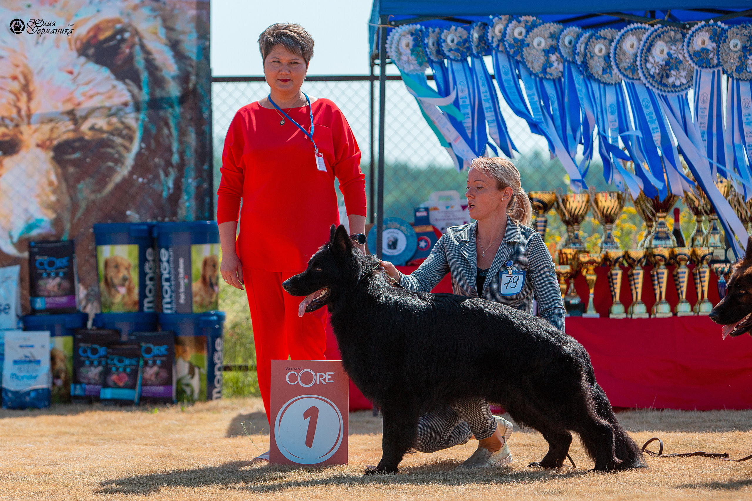 Ярославль CACIB 18 июля 2021. Фотограф-анималист Юлия Германика