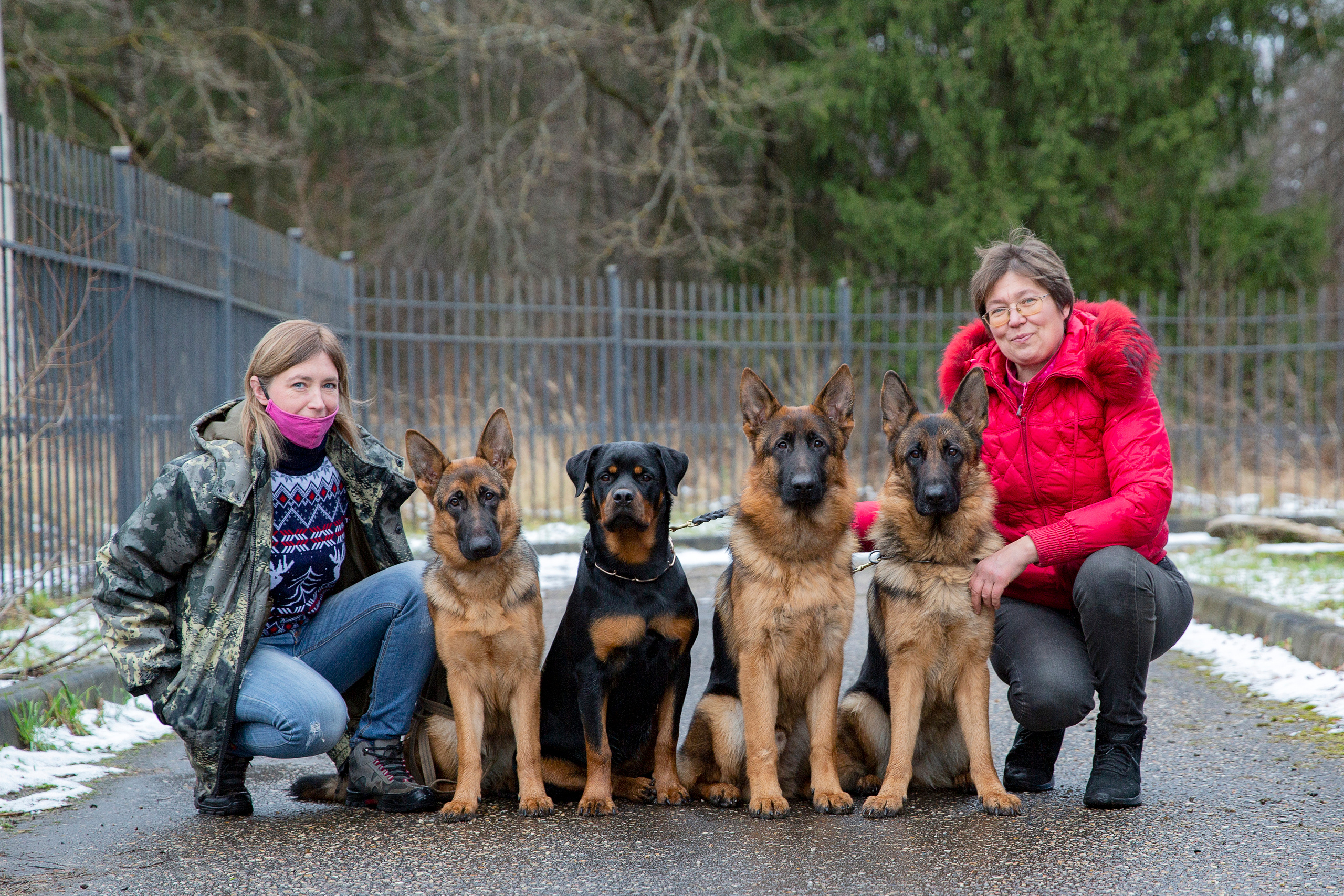 Свободная съемка. Фотограф-анималист Юлия Германика