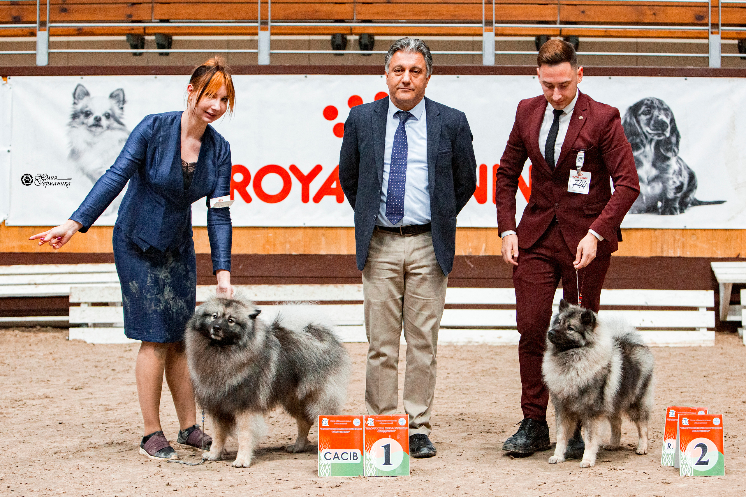 Минск 2хCACIB 27-28 ноября 2021. Фотограф-анималист Юлия Германика