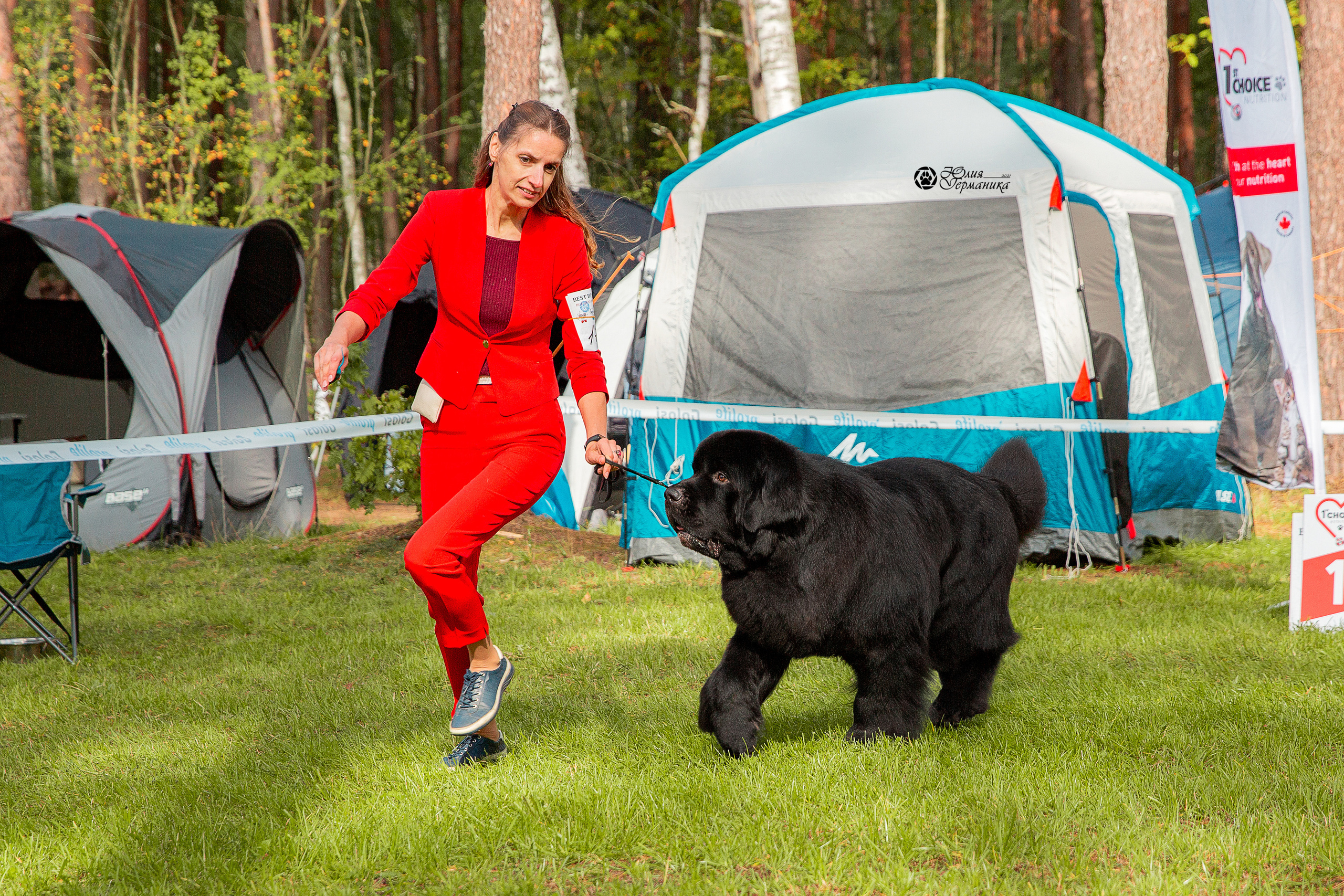 Псков 2xСАСIB 18-19 сентября 2021. Фотограф-анималист Юлия Германика