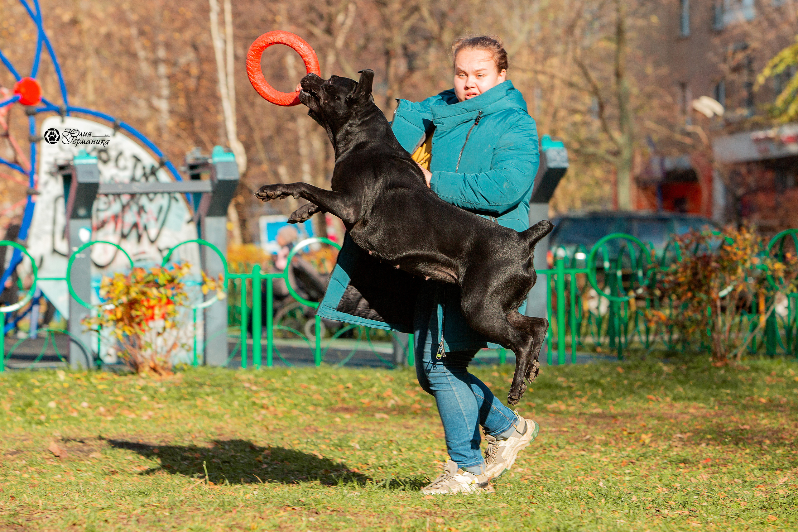 Свободная съемка. Фотограф-анималист Юлия Германика