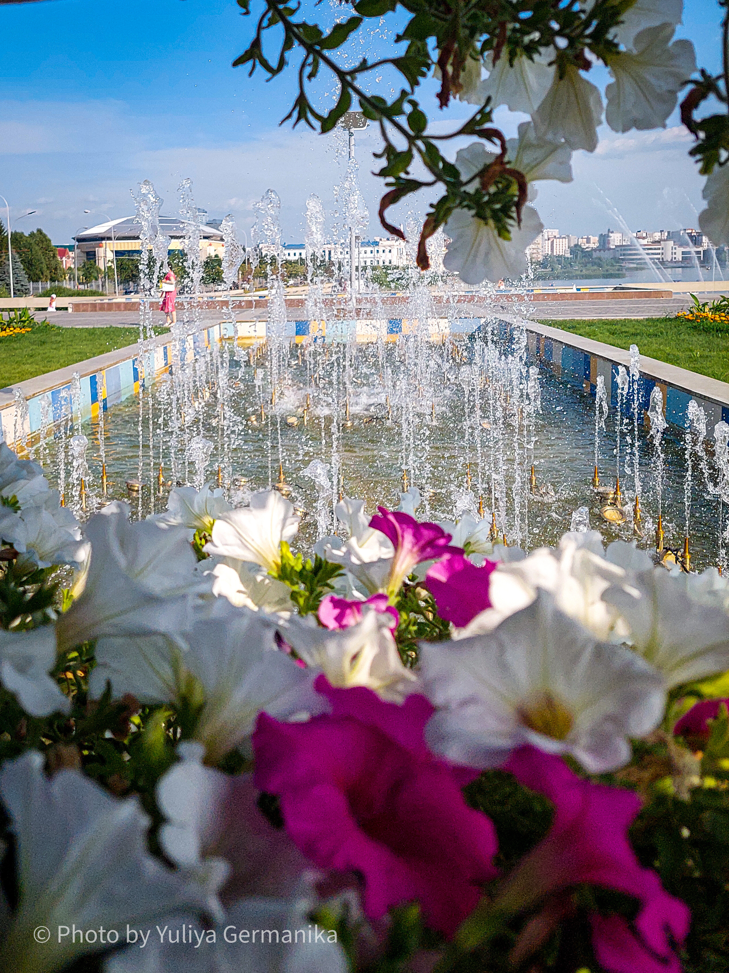 Разные фото на телефон.Города,природа. Фотограф-анималист Юлия Германика