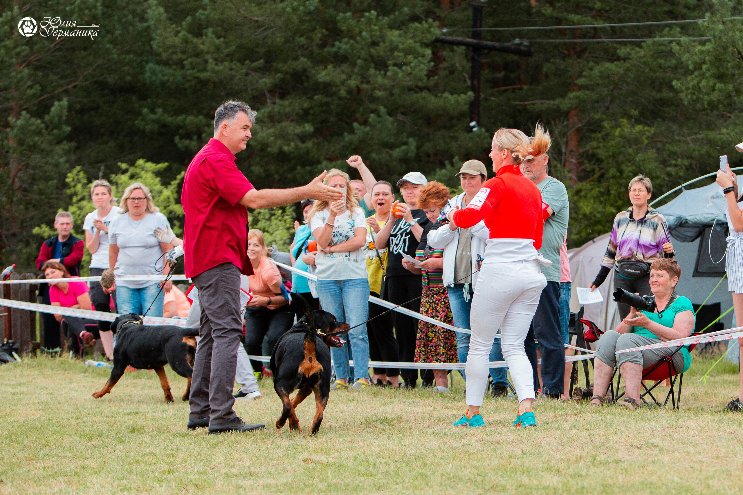 Тверь моно ротвейлеров 3-4 июля 2021. Фотограф-анималист Юлия Германика