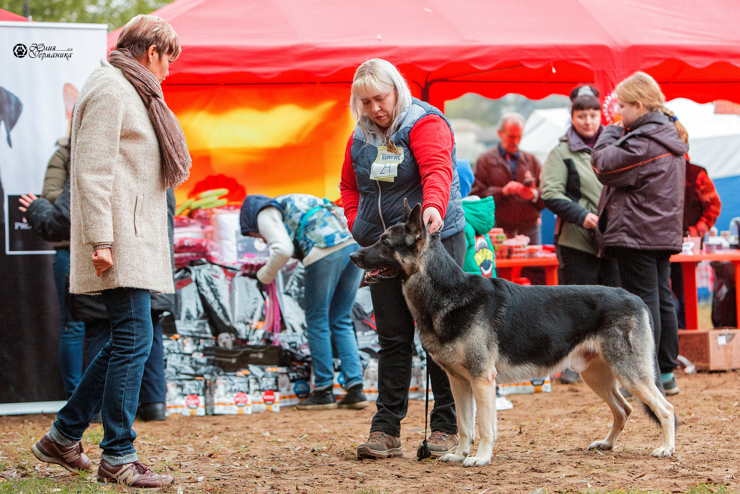 Сокольники 25 сентября Моно ВЕО Моншер Версаль. Фотограф-анималист Юлия Германика