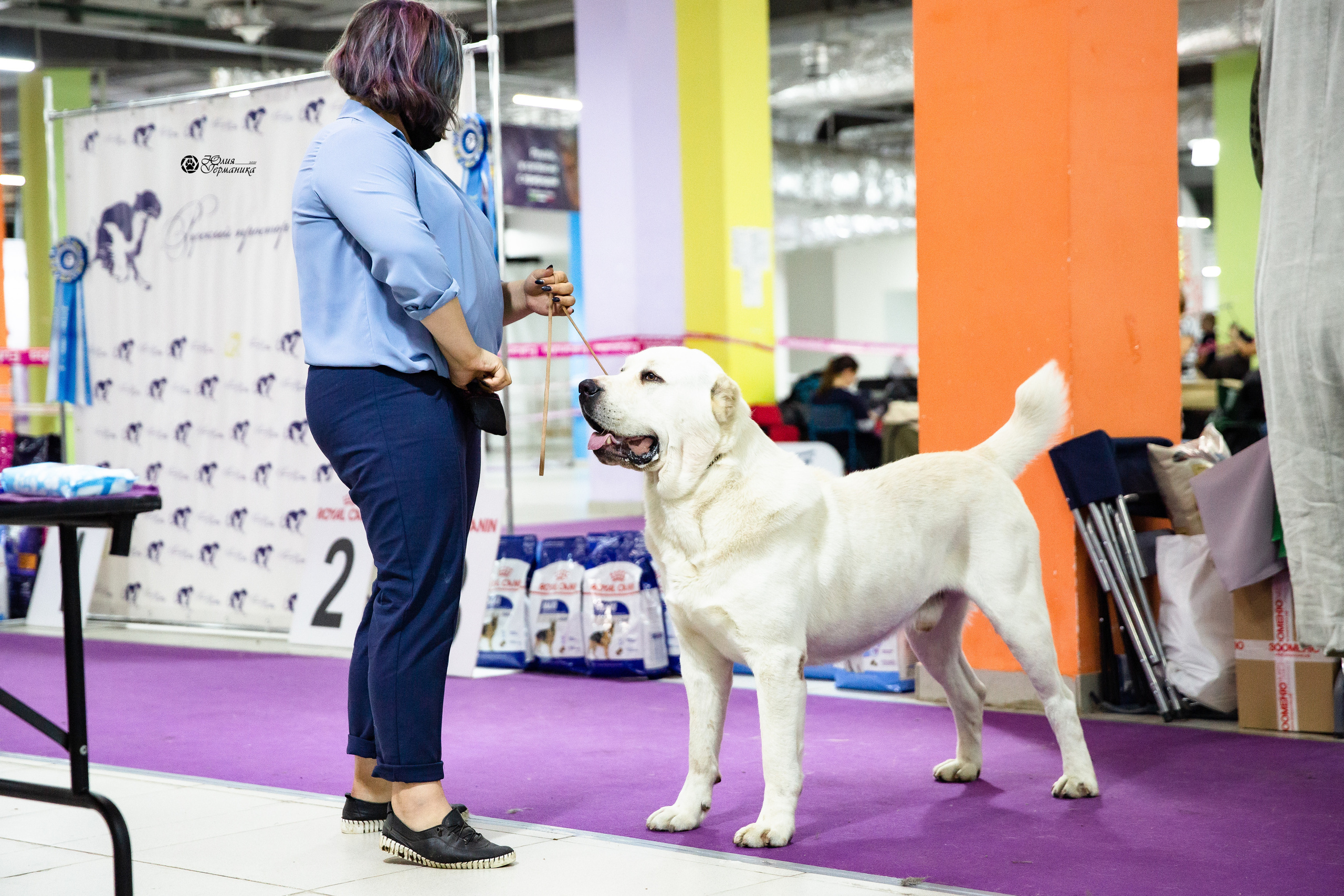 Чайна-Таун 2021. Фотограф-анималист Юлия Германика