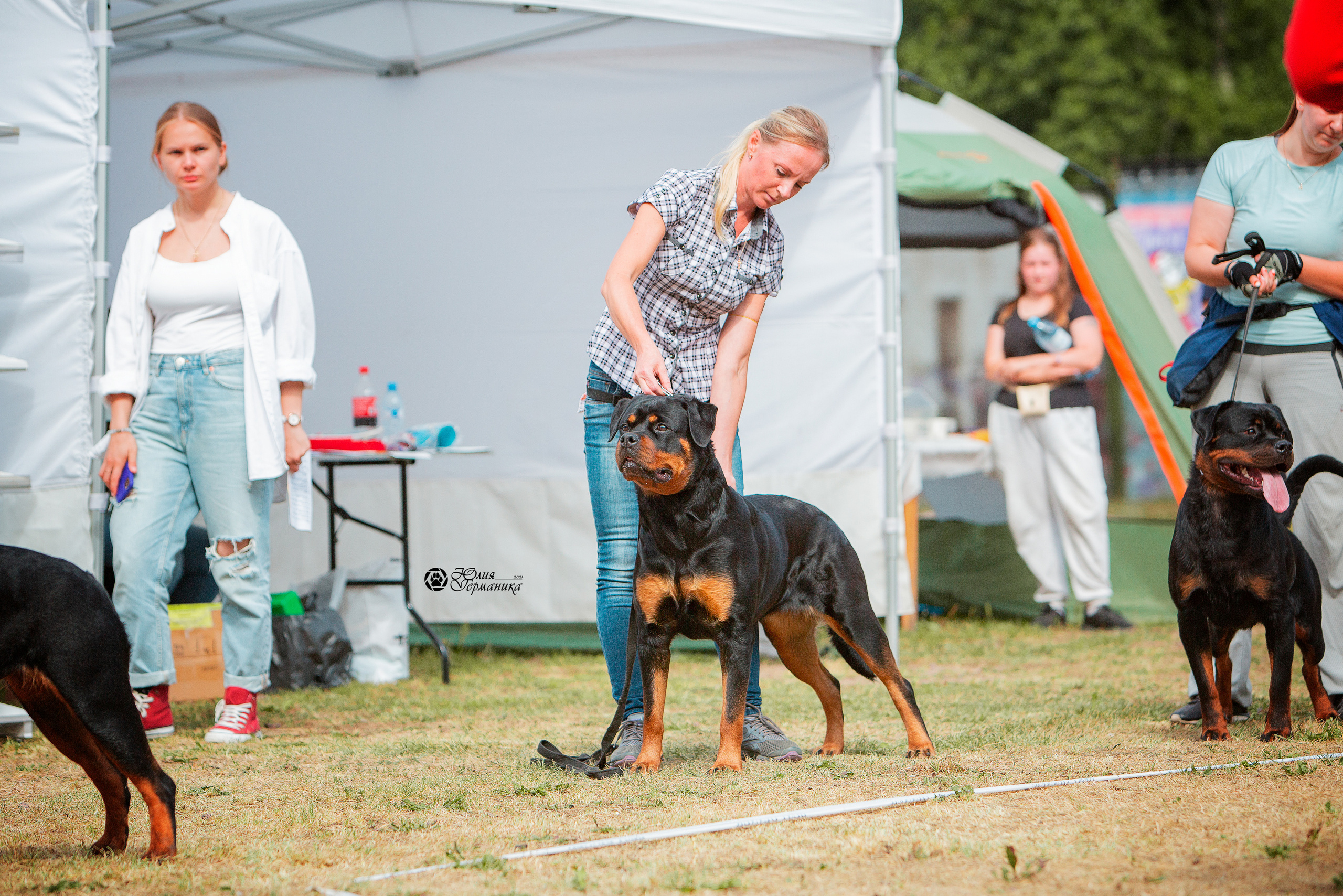 Монопородные выставки. Фотограф-анималист Юлия Германика