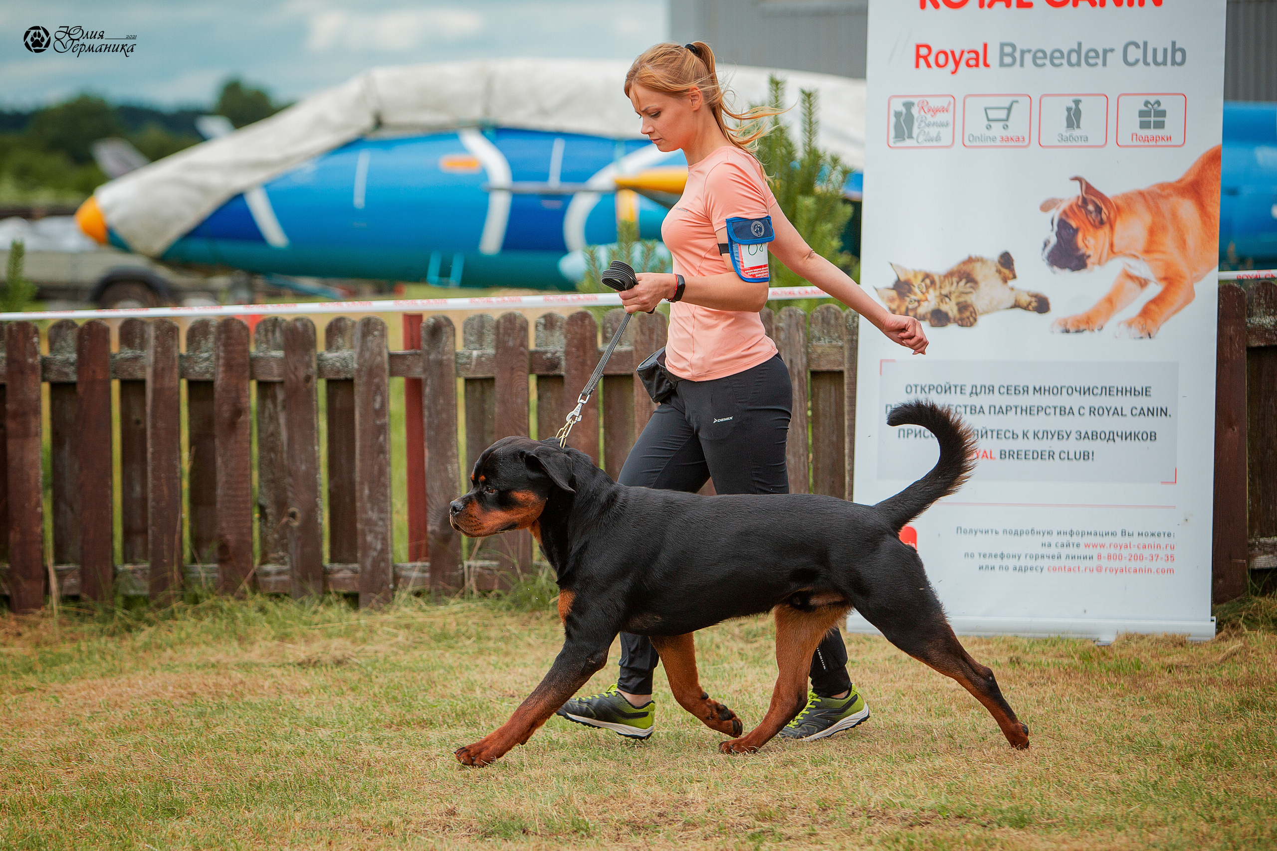 Тверь моно ротвейлеров 3-4 июля 2021. Фотограф-анималист Юлия Германика