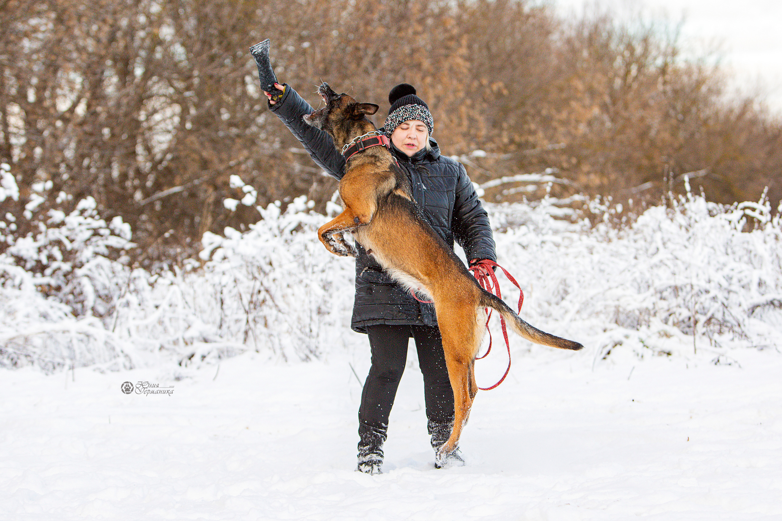 Свободная съемка. Фотограф-анималист Юлия Германика