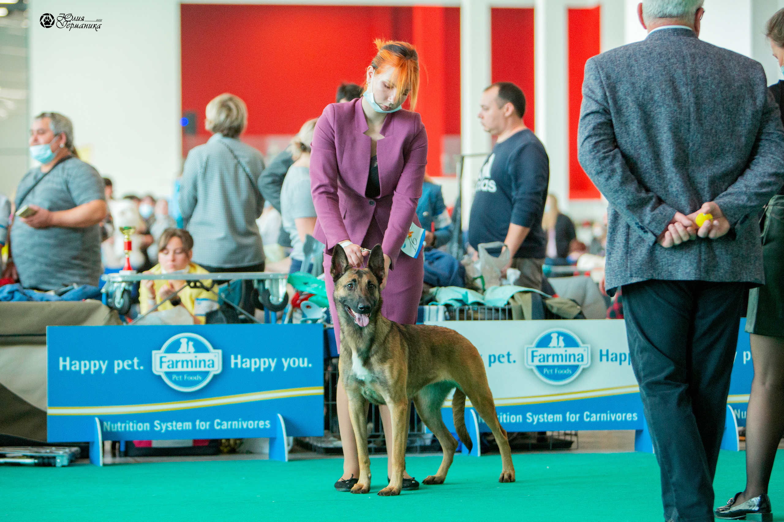 Нижний Новгород 3хCACIB 15-17 октября 2021. Фотограф-анималист Юлия Германика