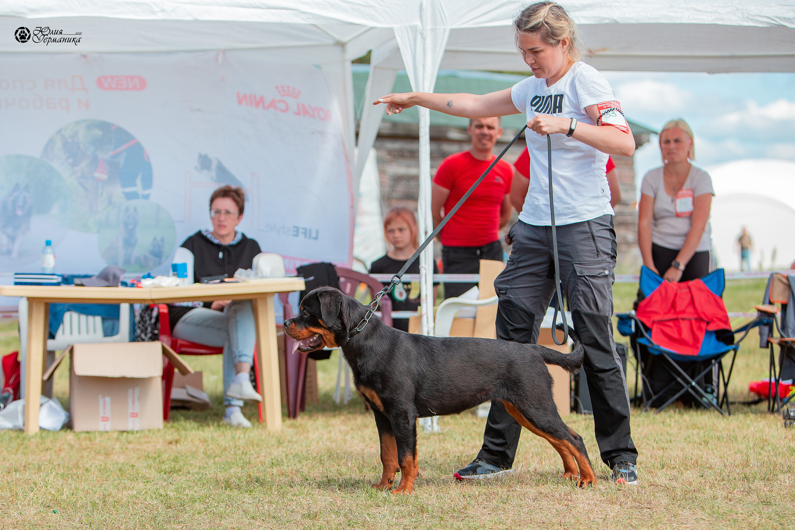 Тверь моно ротвейлеров 3-4 июля 2021. Фотограф-анималист Юлия Германика