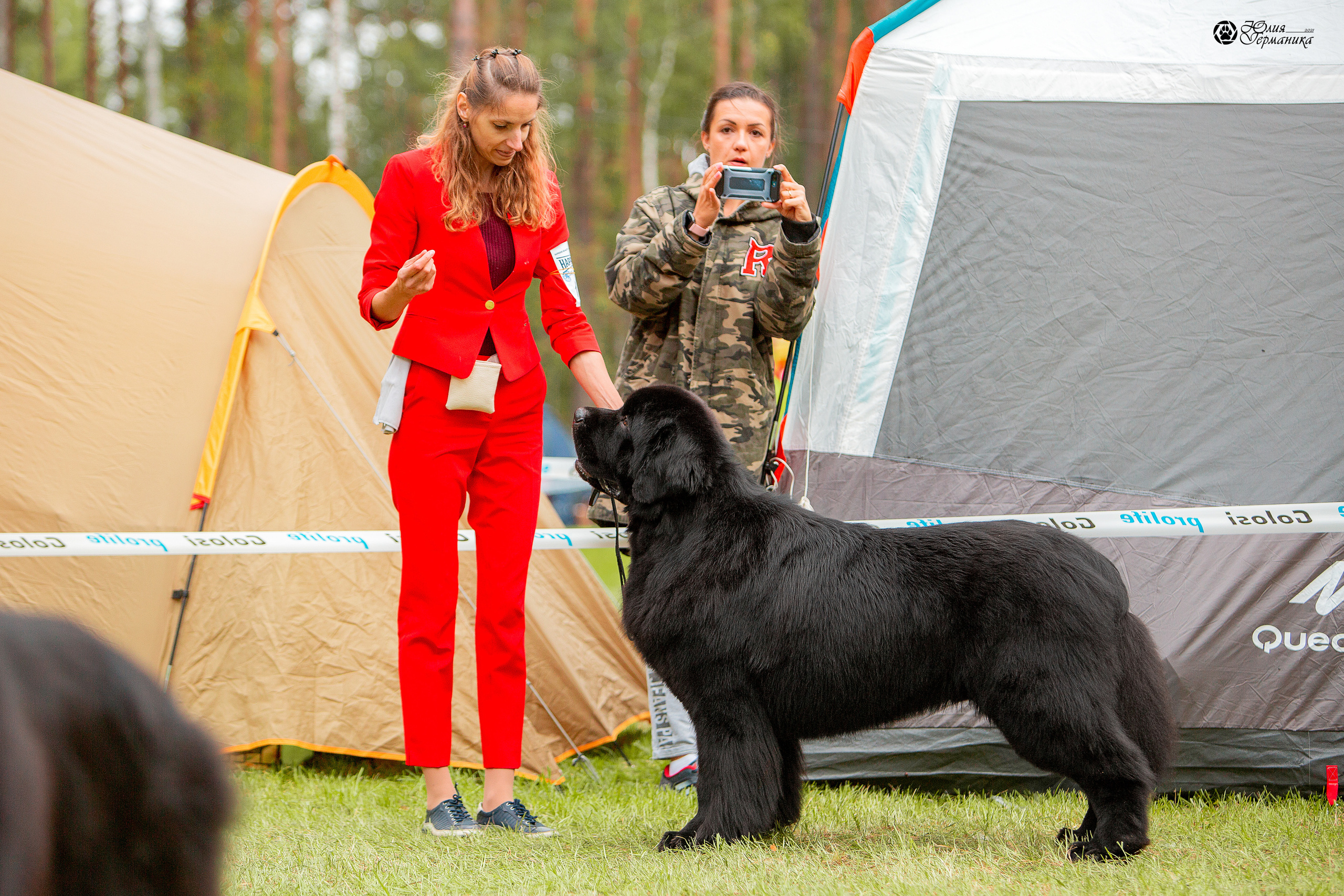 Псков 2xСАСIB 18-19 сентября 2021. Фотограф-анималист Юлия Германика