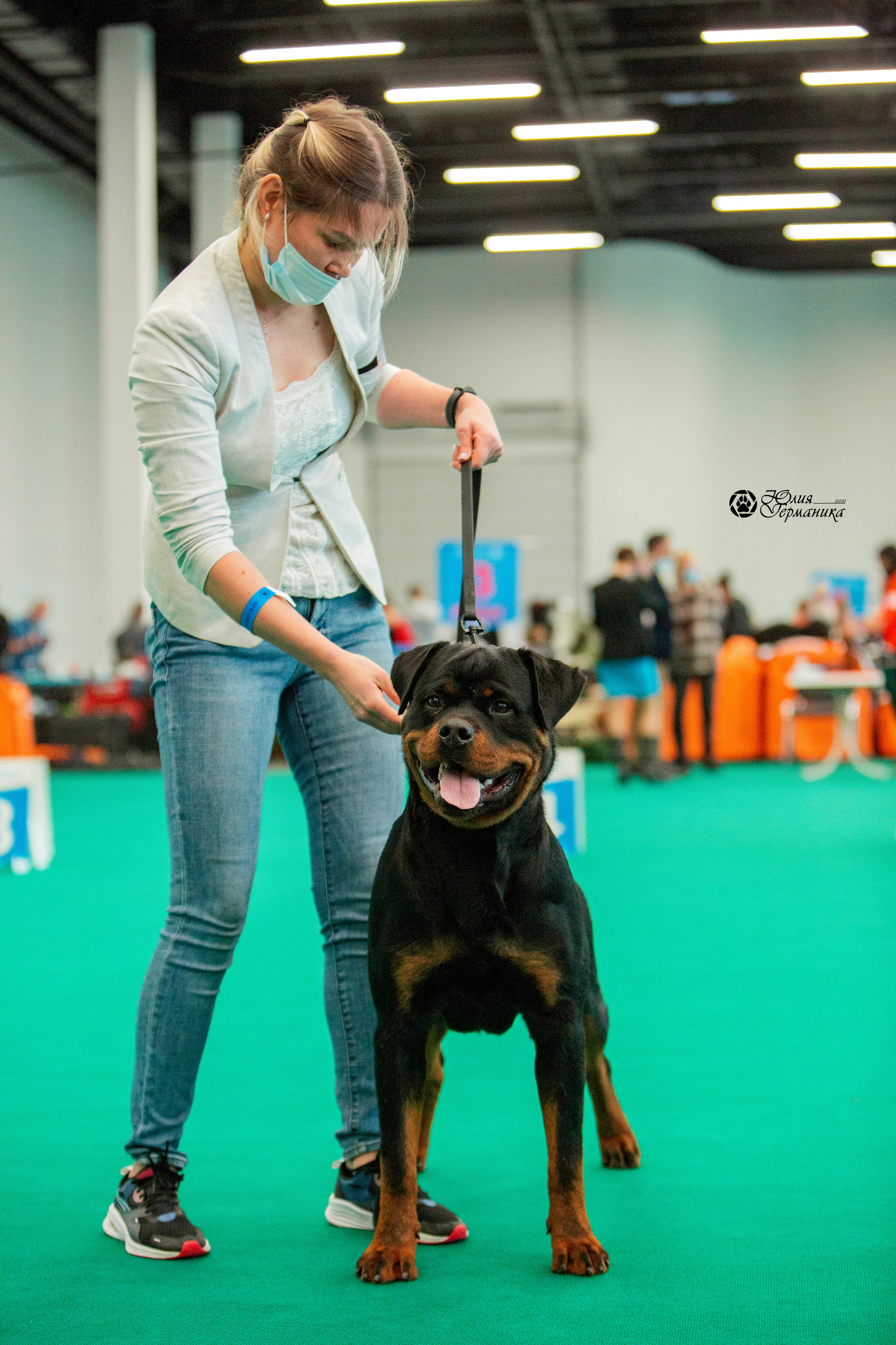 Нижний Новгород 3хCACIB 15-17 октября 2021. Фотограф-анималист Юлия Германика