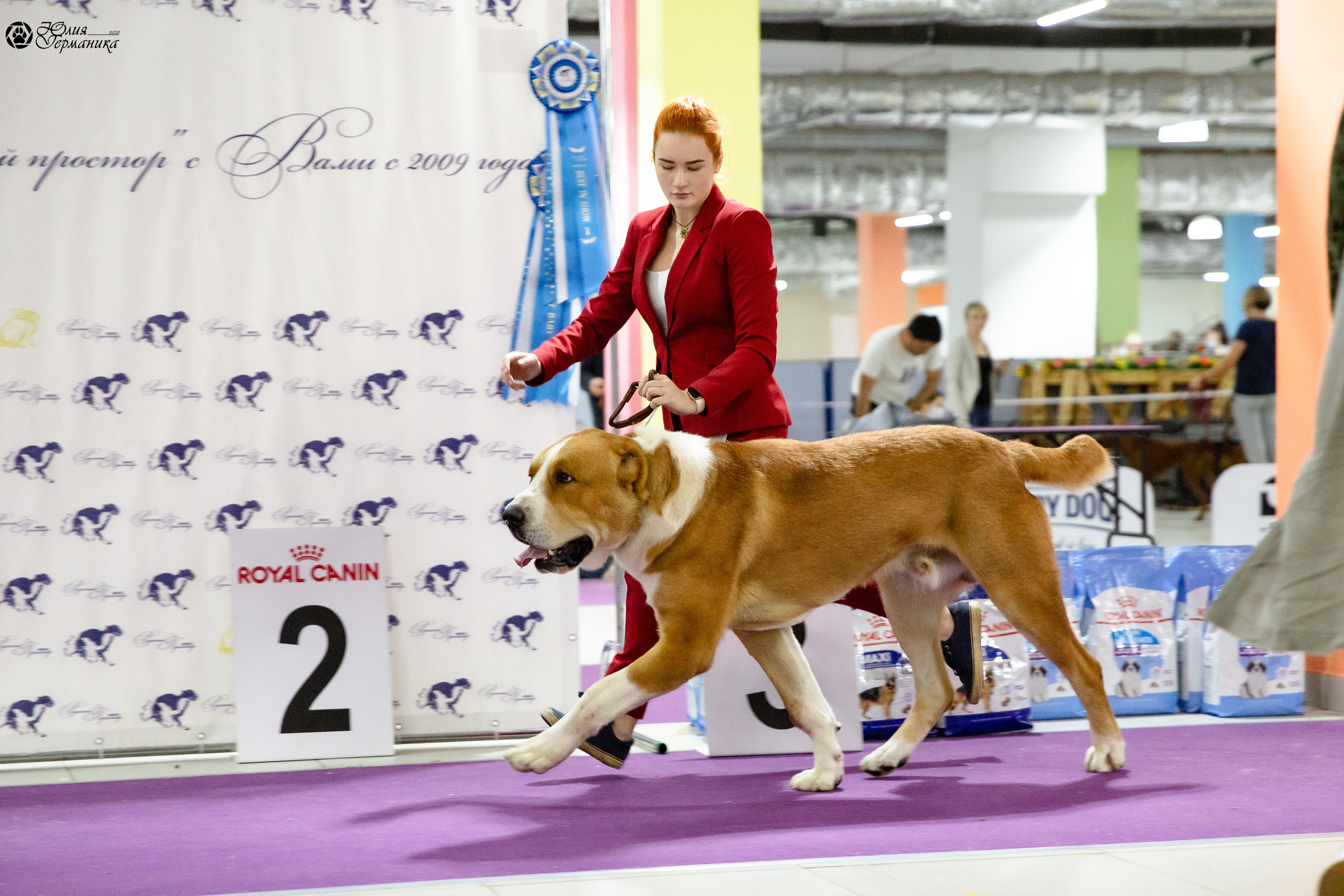 Чайна-Таун 2021. Фотограф-анималист Юлия Германика