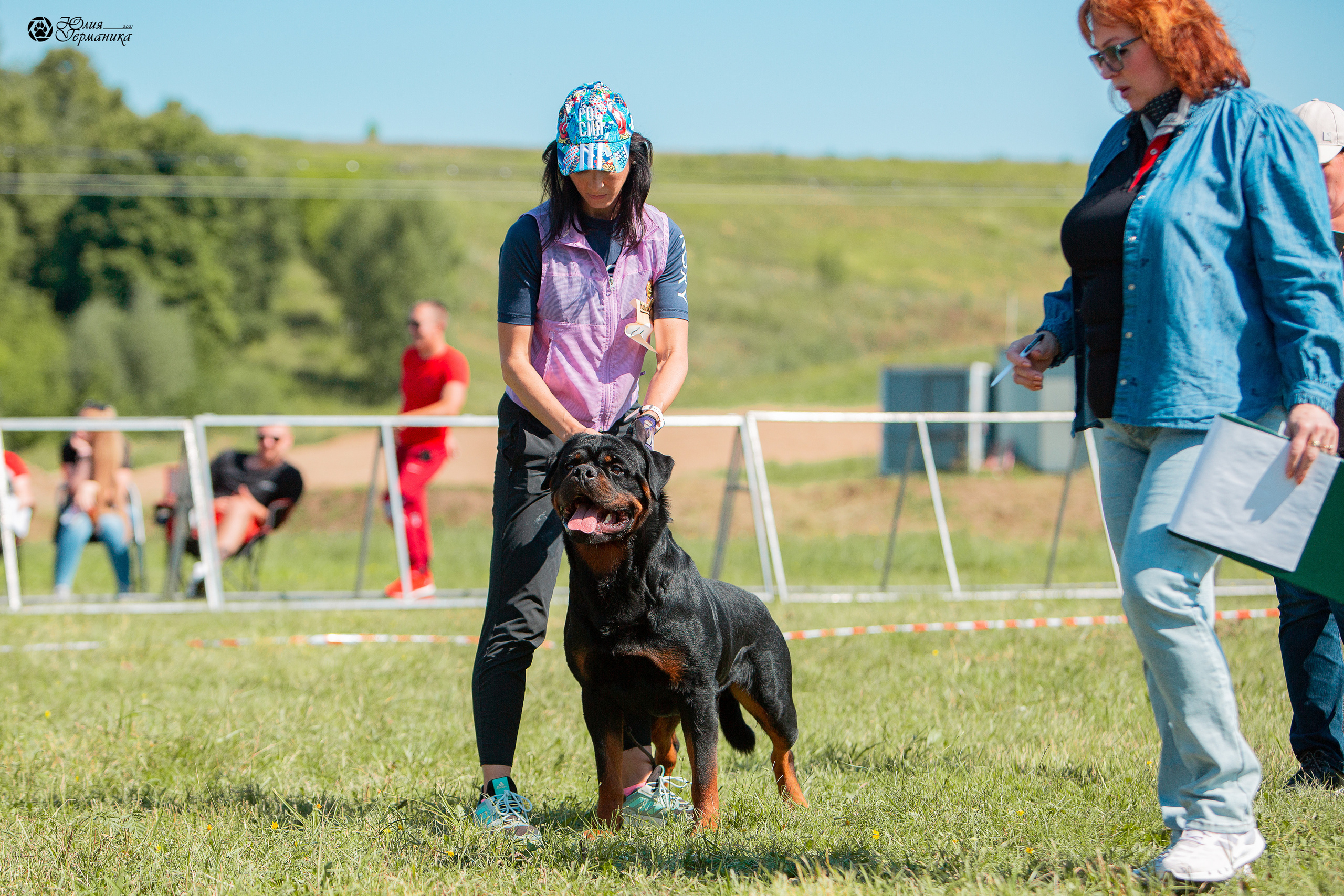 Рязань,Ховрино 14-15 августа 2021 моно ротвейлеров. Фотограф-анималист Юлия Германика
