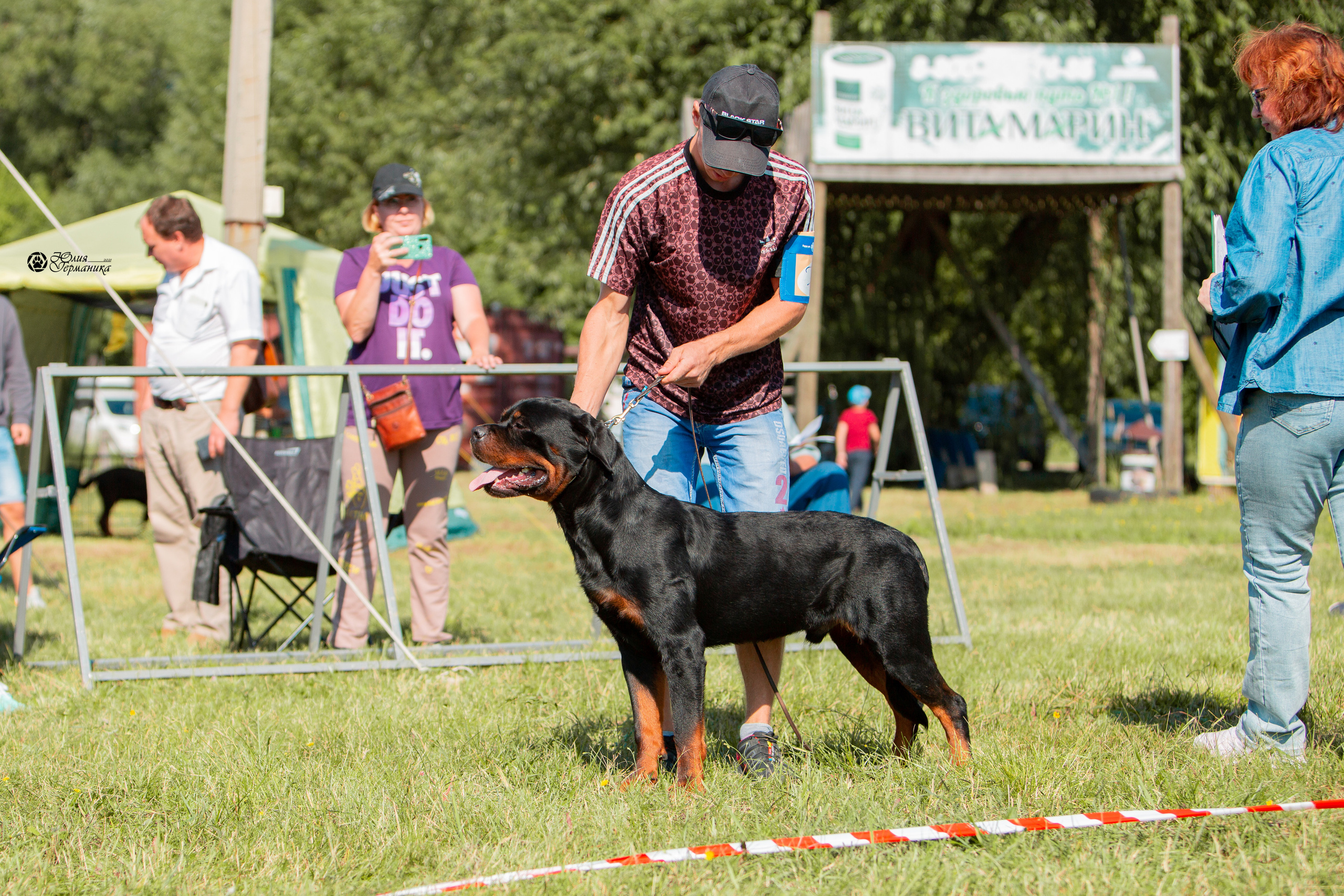Рязань,Ховрино 14-15 августа 2021 моно ротвейлеров. Фотограф-анималист Юлия Германика