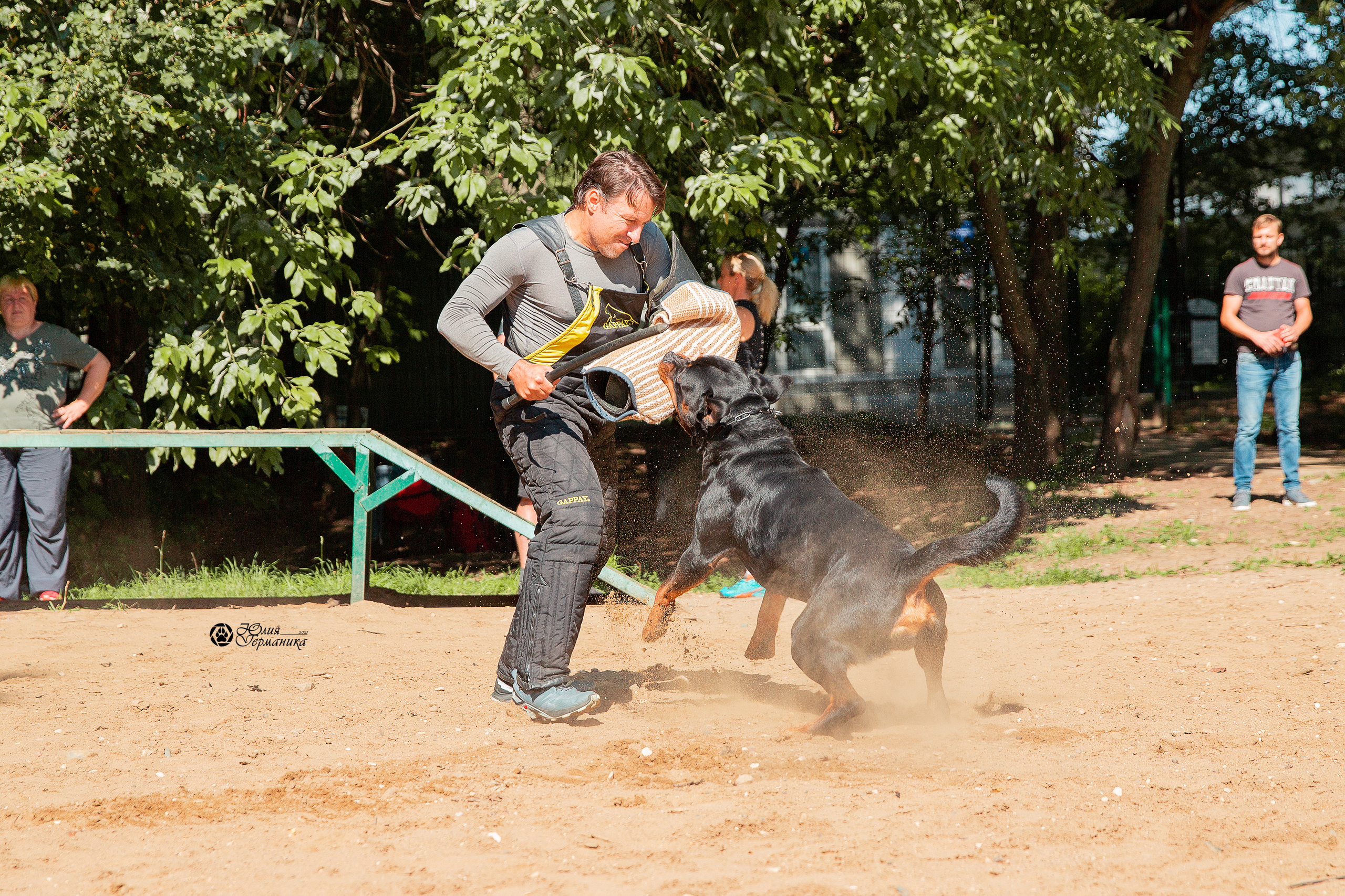 Рязань,Ховрино 14-15 августа 2021 моно ротвейлеров. Фотограф-анималист Юлия Германика