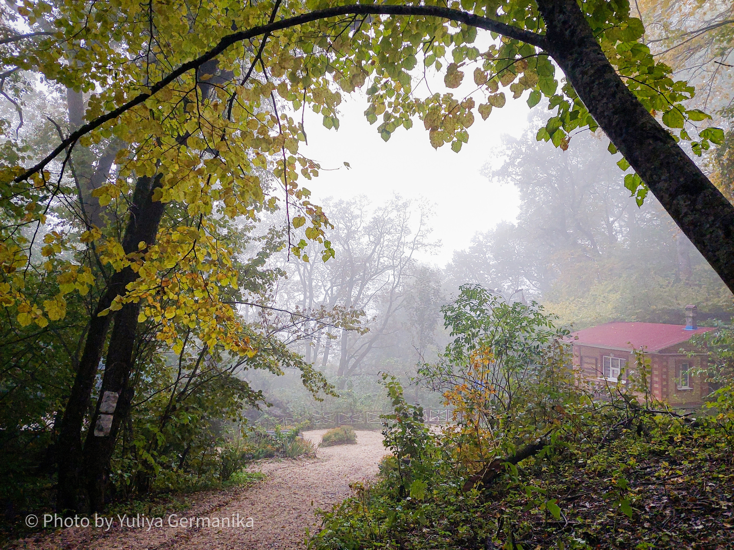 Разные фото на телефон.Города,природа. Фотограф-анималист Юлия Германика