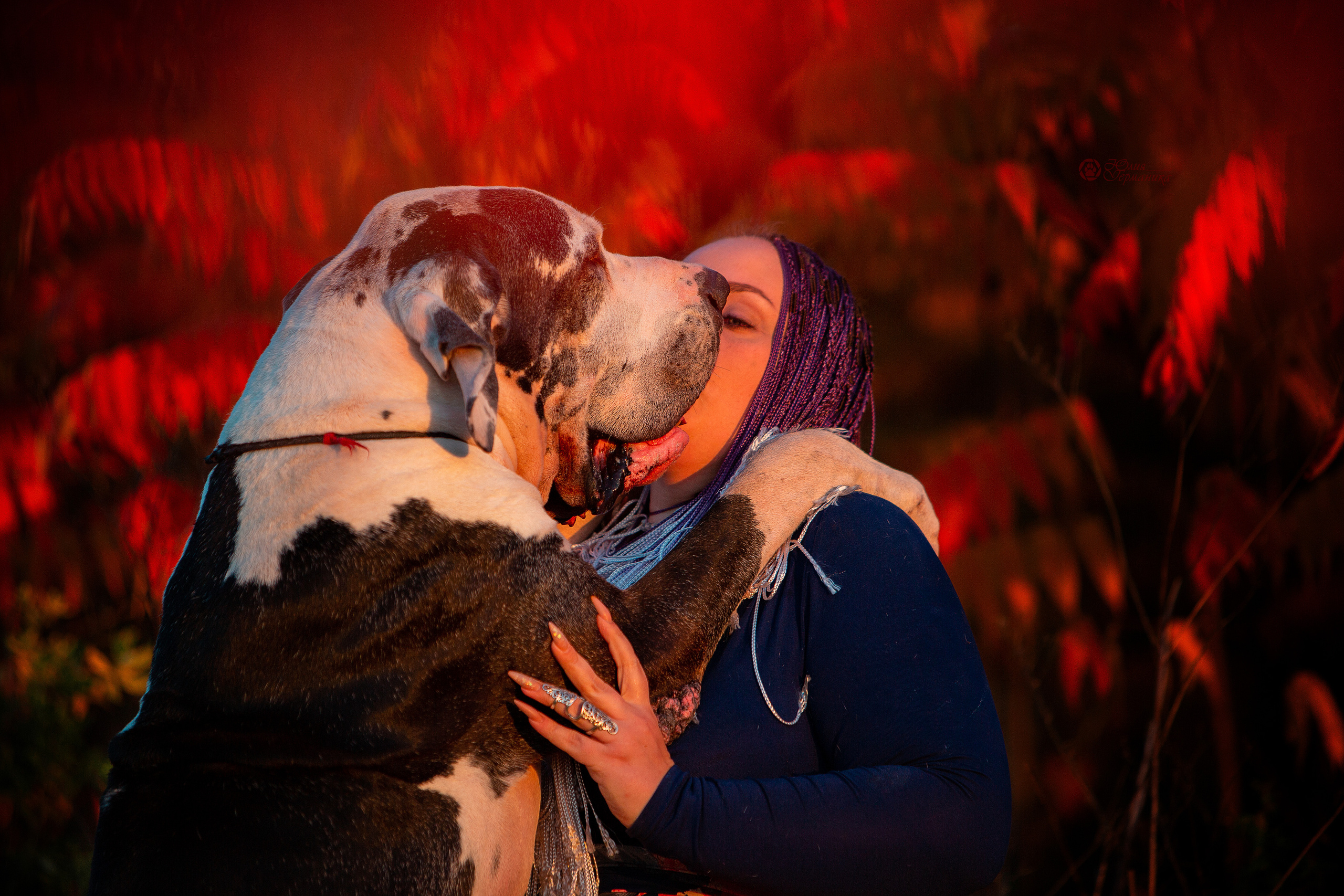 Свободная съемка. Фотограф-анималист Юлия Германика