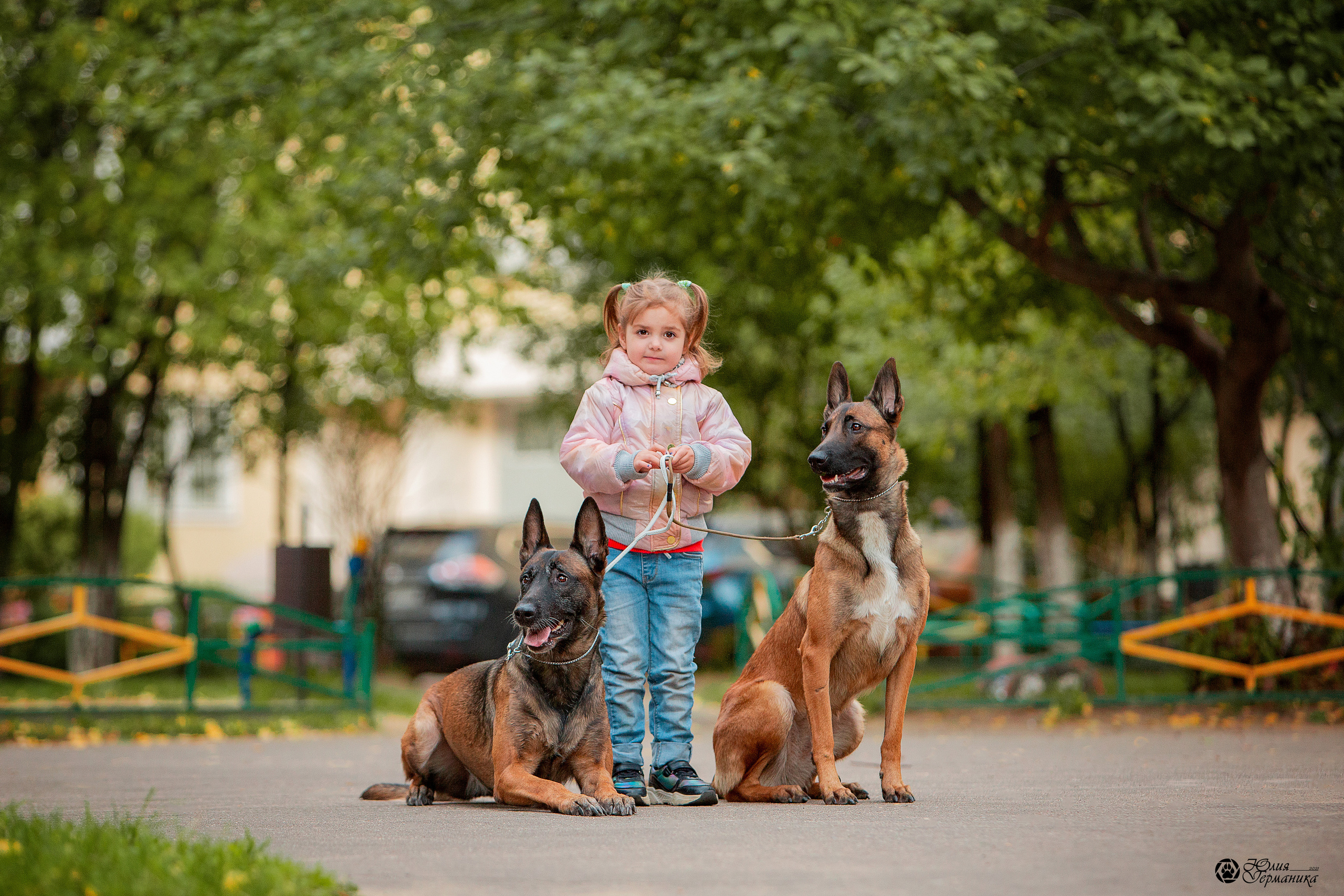 Свободная съемка. Фотограф-анималист Юлия Германика