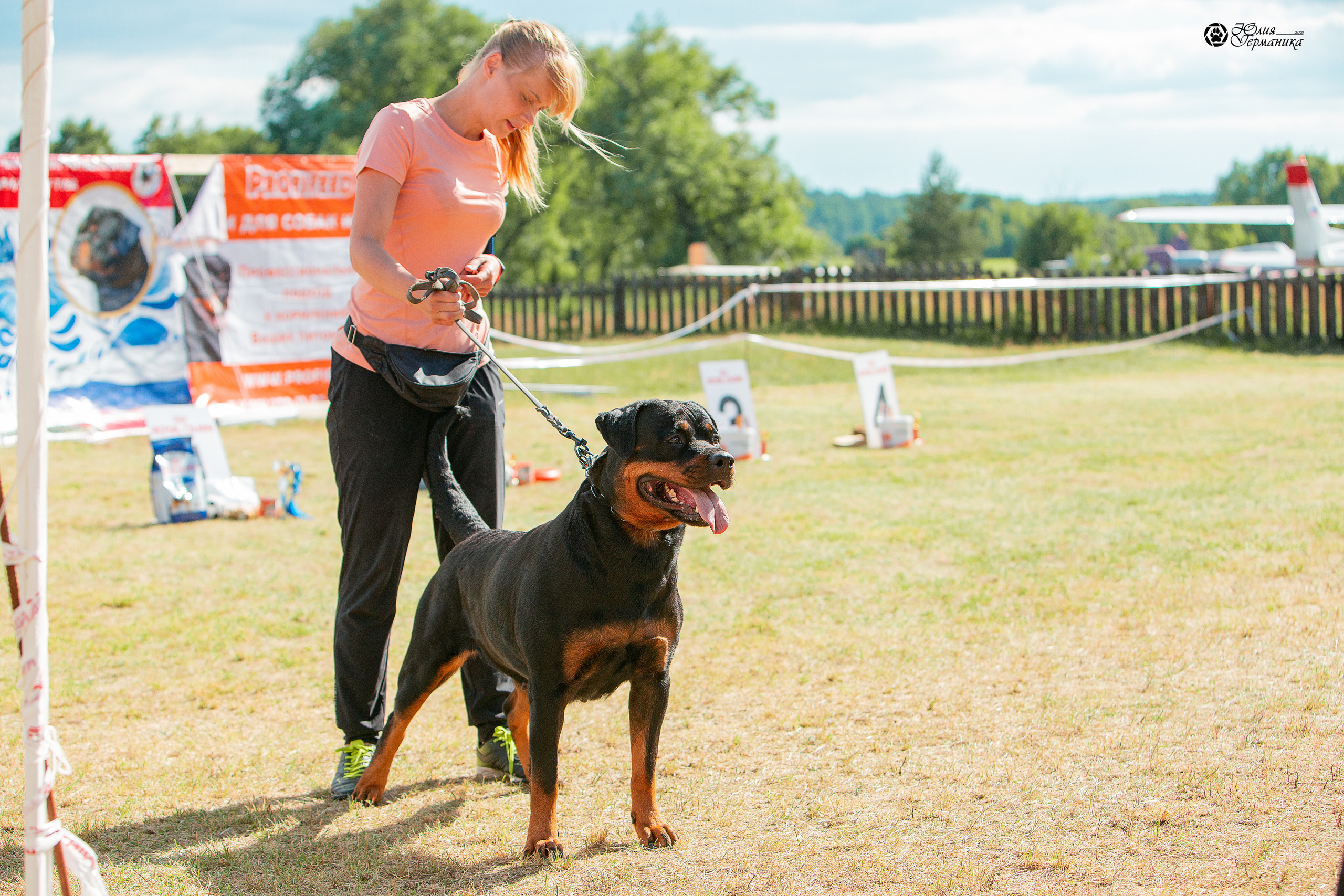 Тверь моно ротвейлеров 3-4 июля 2021. Фотограф-анималист Юлия Германика