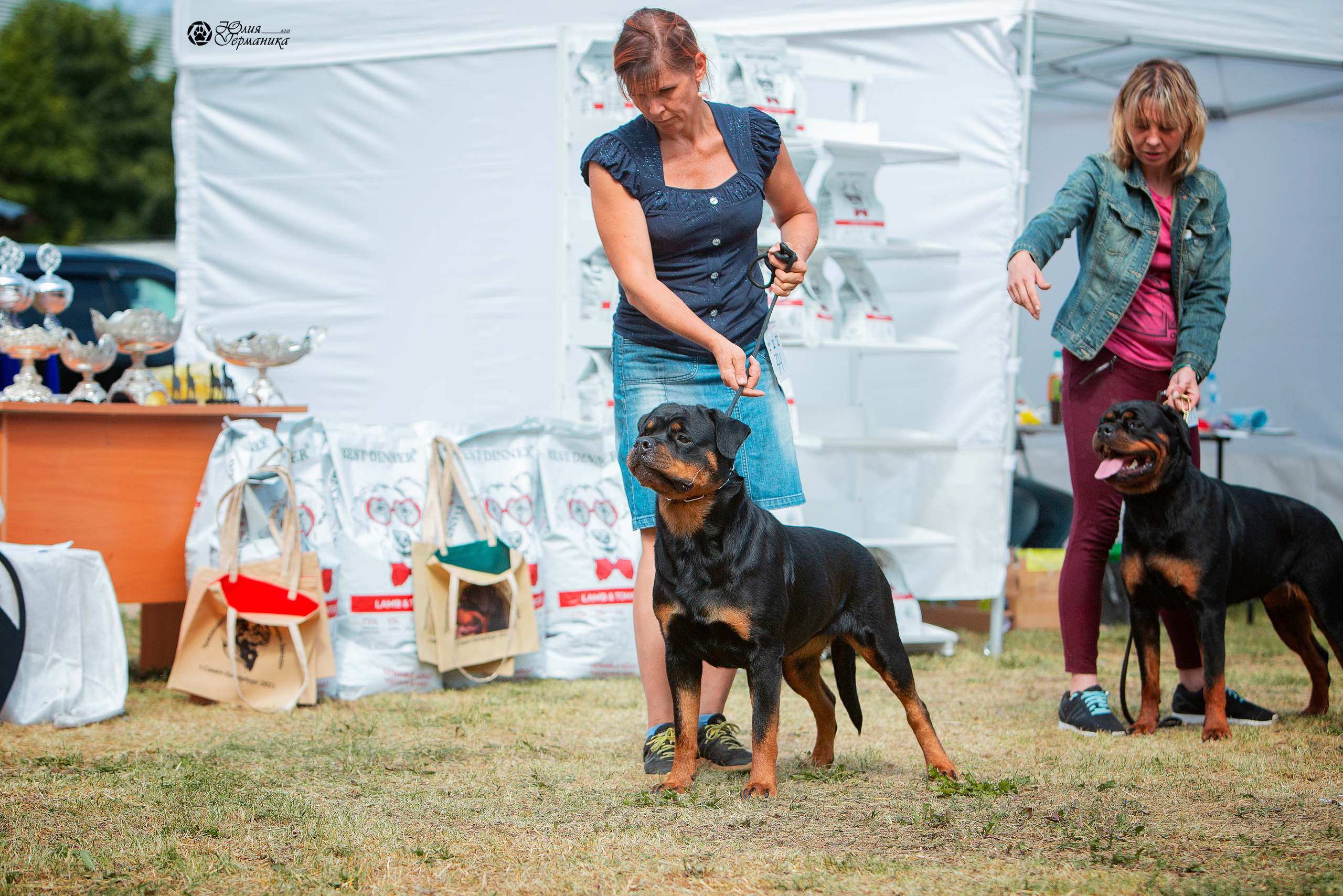Монопородная выставка ротвейлеров Питер. Фотограф-анималист Юлия Германика