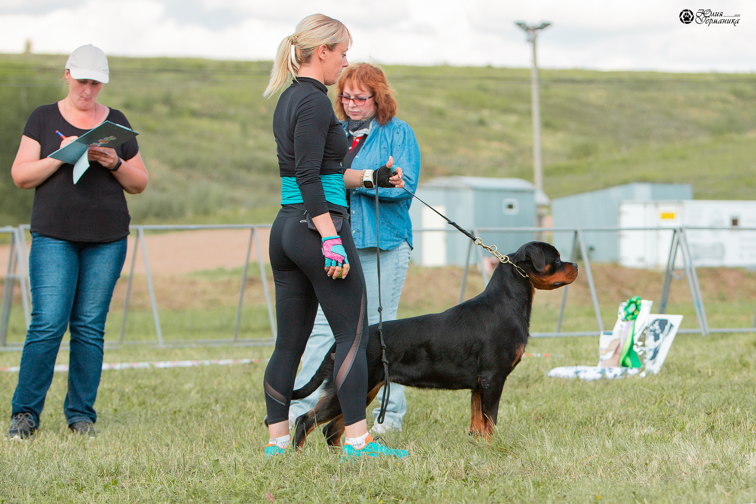 Рязань,Ховрино 14-15 августа 2021 моно ротвейлеров. Фотограф-анималист Юлия Германика