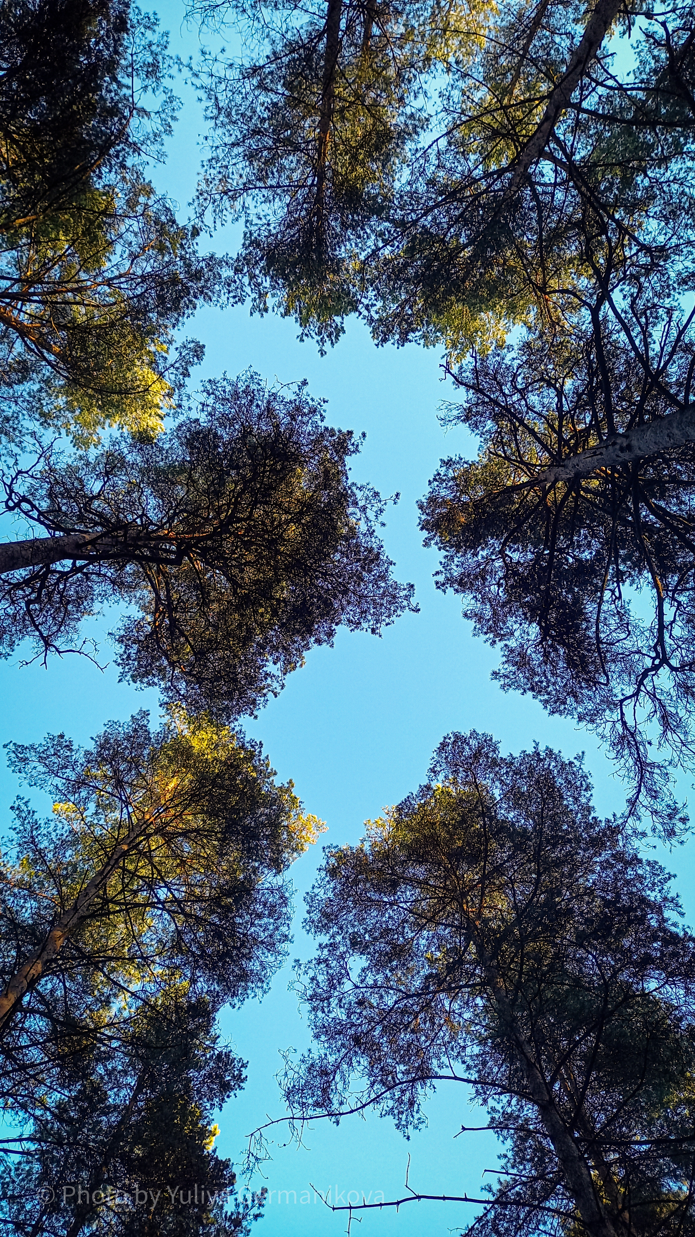 Разные фото на телефон.Города,природа. Фотограф-анималист Юлия Германика