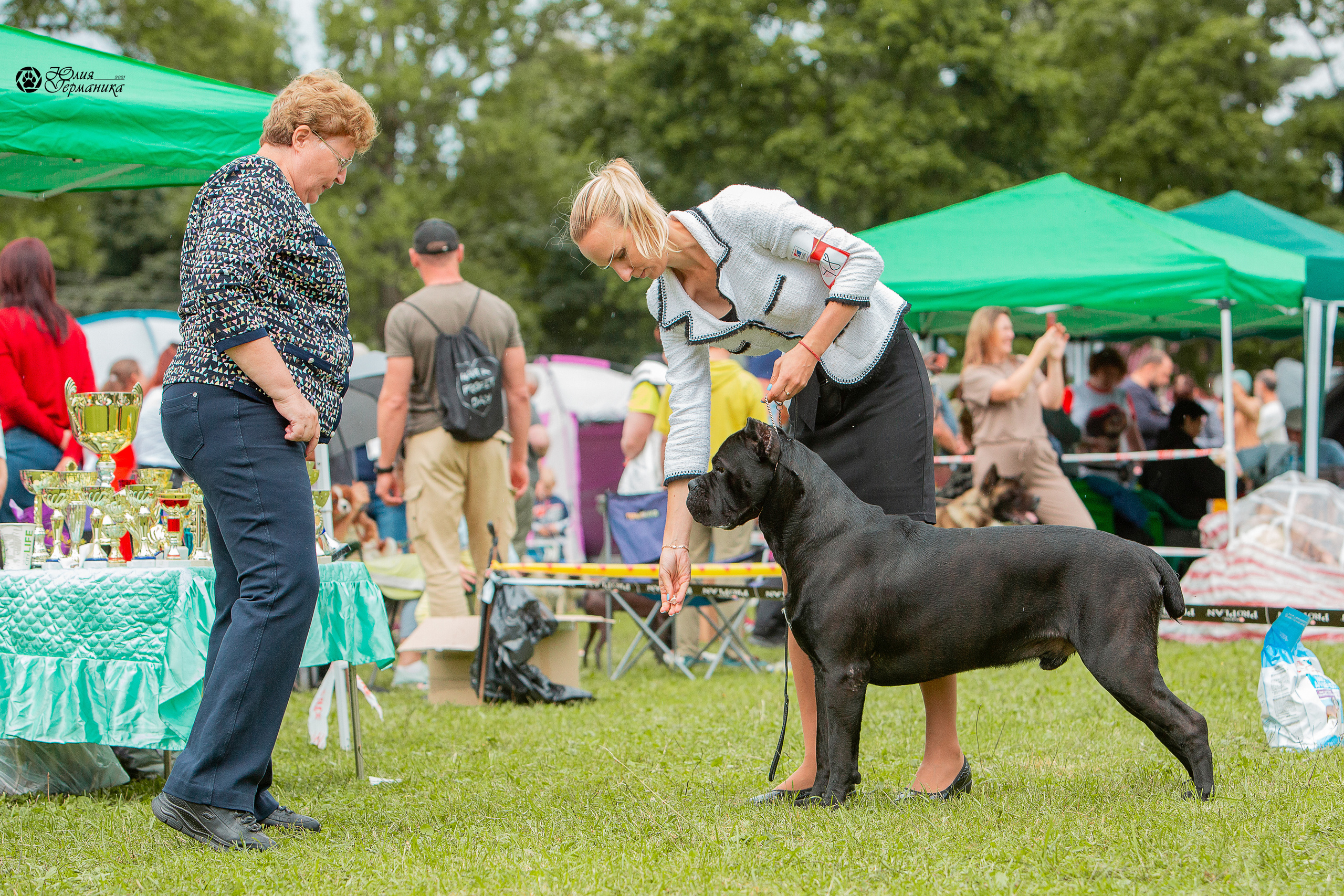 Пушкино 3хCAC 21 августа 2021. Фотограф-анималист Юлия Германика
