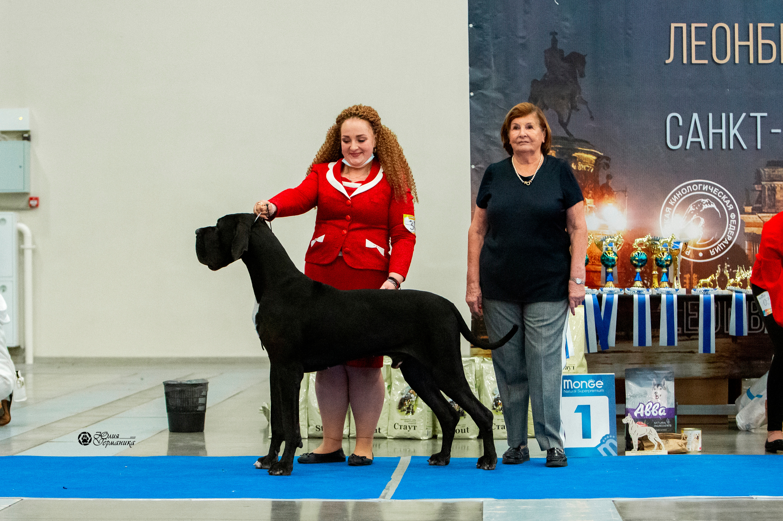 Санкт-Петербург 3хCACIB 10-12 декабря 2021. Фотограф-анималист Юлия Германика