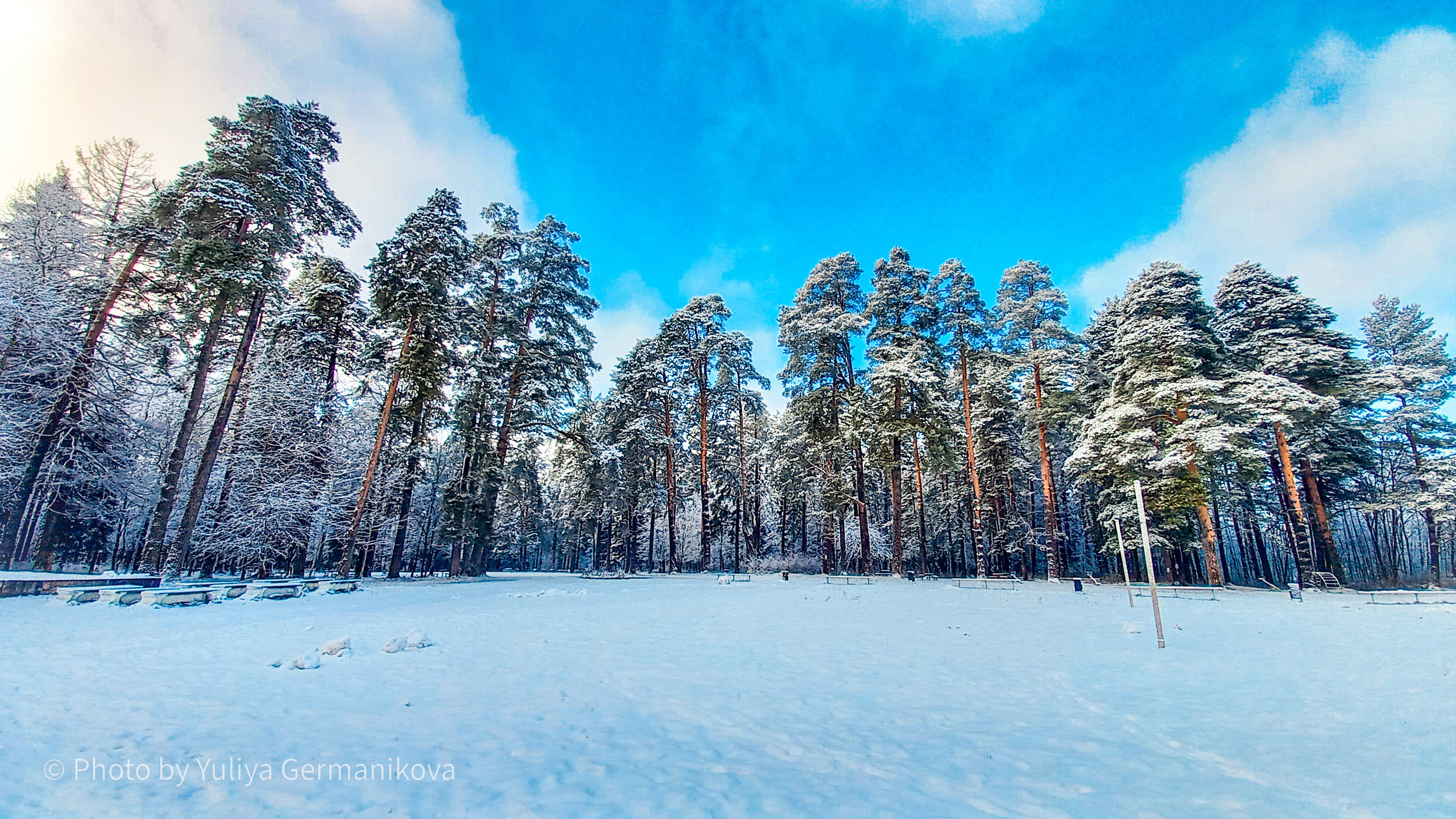 Разные фото на телефон.Города,природа. Фотограф-анималист Юлия Германика