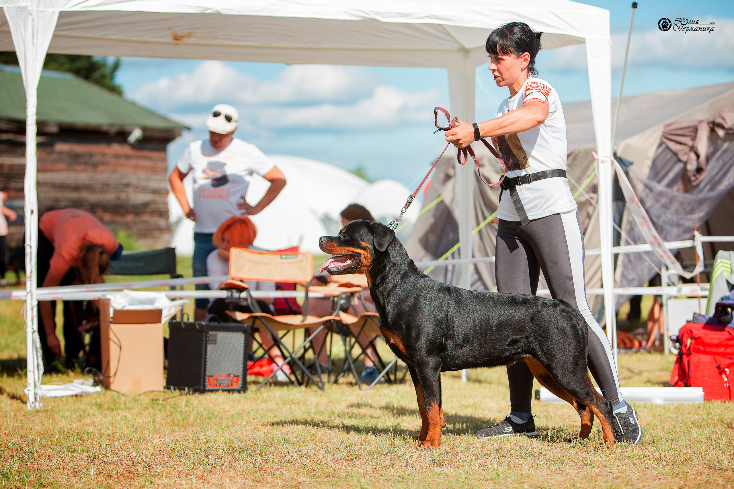 Тверь моно ротвейлеров 3-4 июля 2021. Фотограф-анималист Юлия Германика