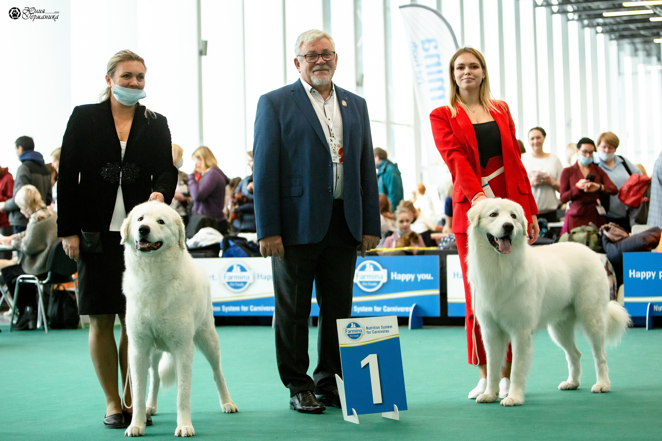 Нижний Новгород 3хCACIB 15-17 октября 2021. Фотограф-анималист Юлия Германика