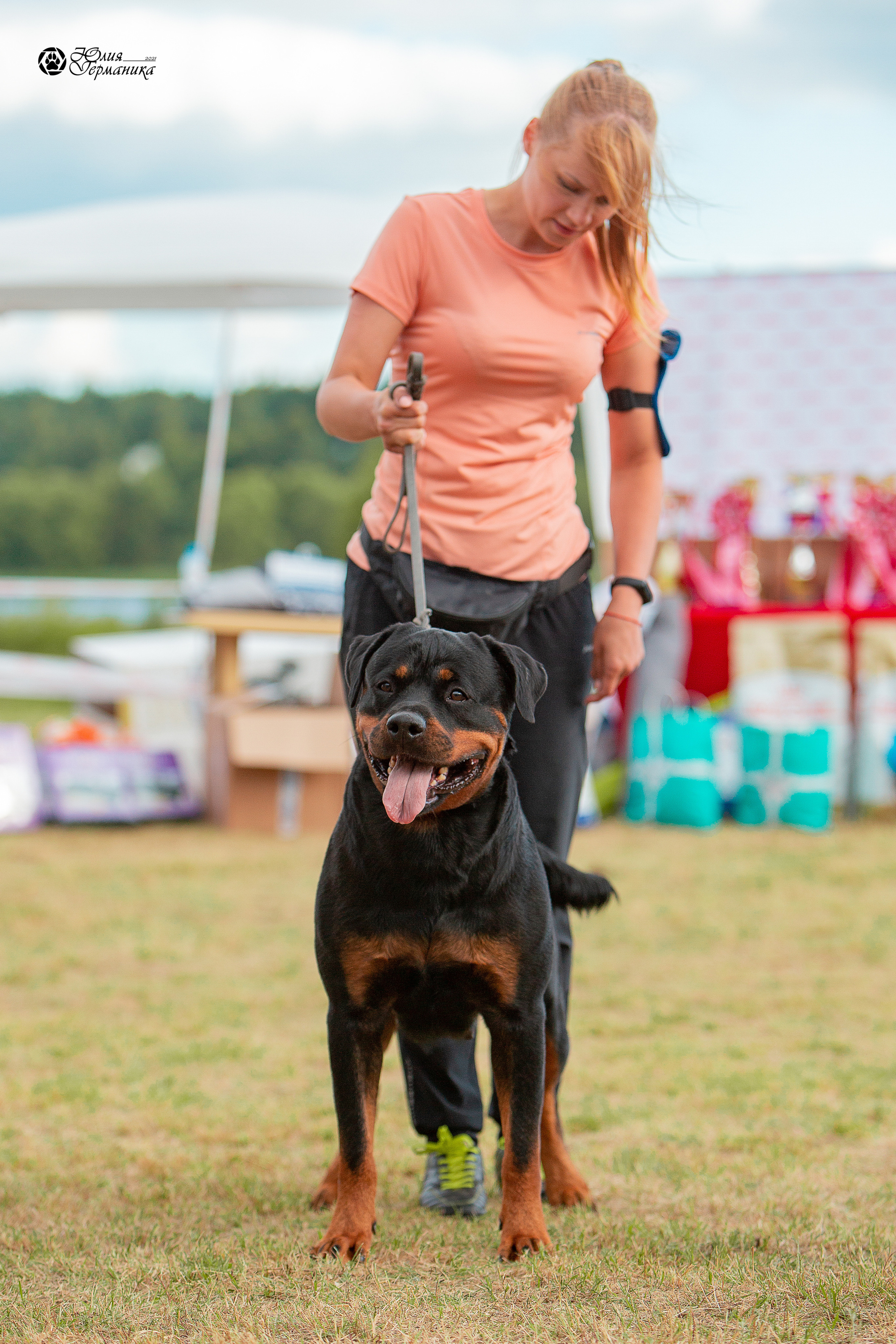 Тверь моно ротвейлеров 3-4 июля 2021. Фотограф-анималист Юлия Германика