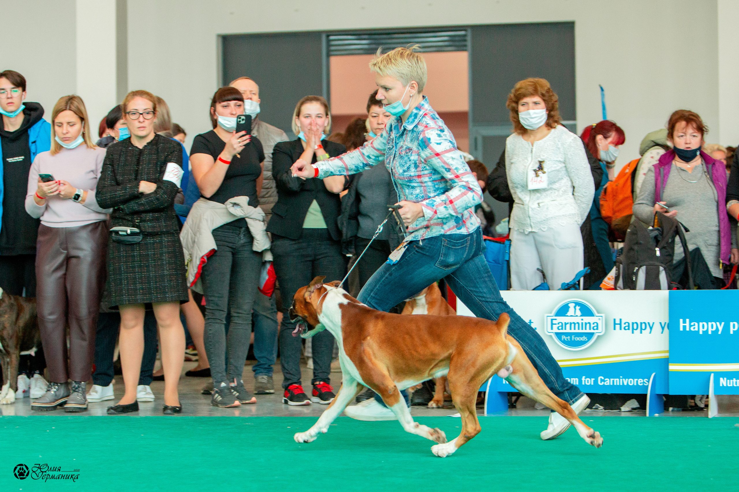 Нижний Новгород 3хCACIB 15-17 октября 2021. Фотограф-анималист Юлия Германика