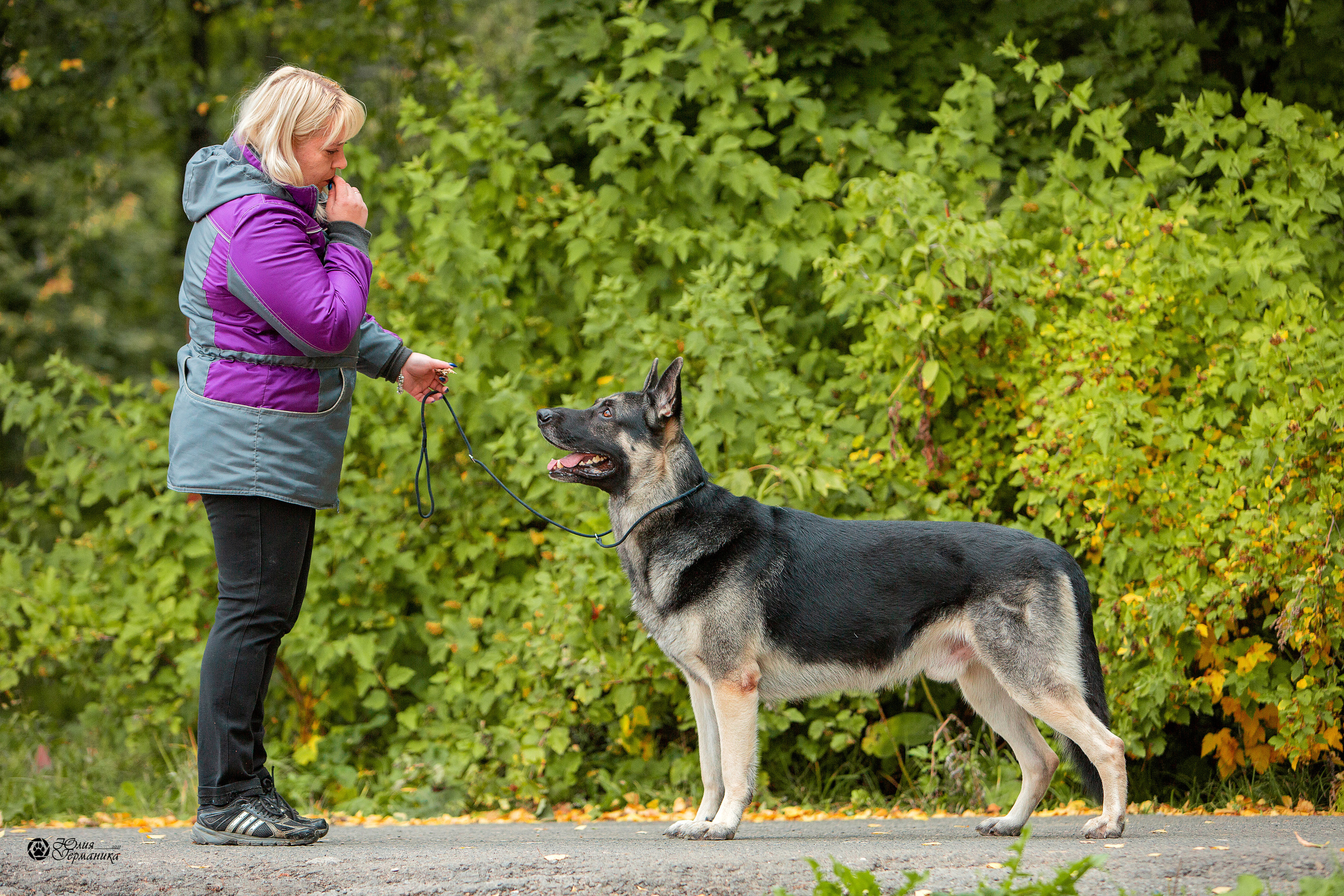 Свободная съемка. Фотограф-анималист Юлия Германика